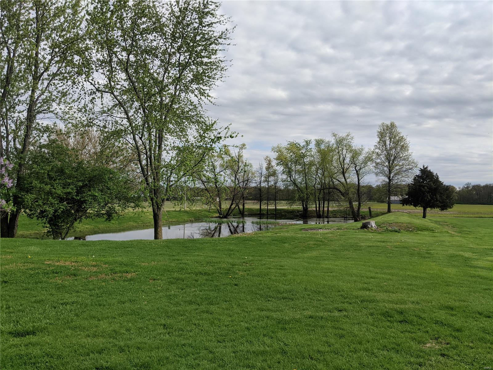 9819 Hunter Field Road Sparta, IL 62286 - Photo 11 of 34
