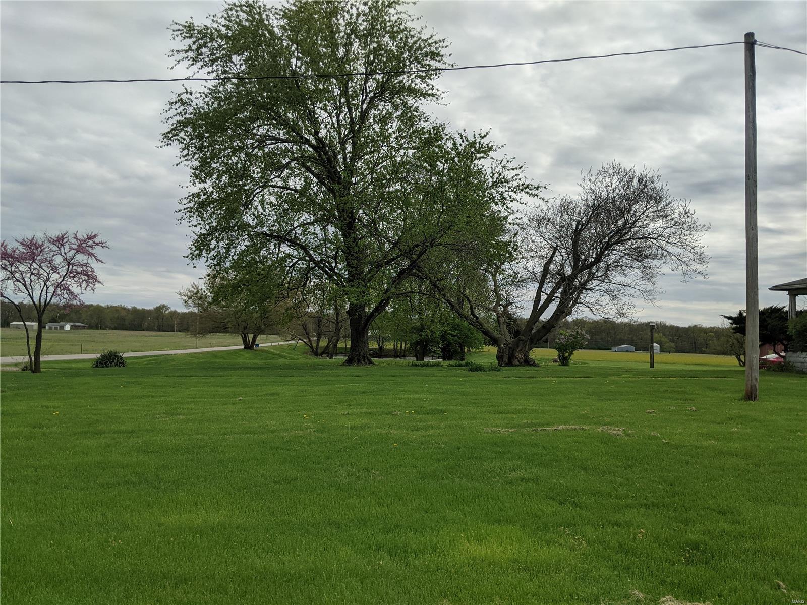 9819 Hunter Field Road Sparta, IL 62286 - Photo 3 of 34