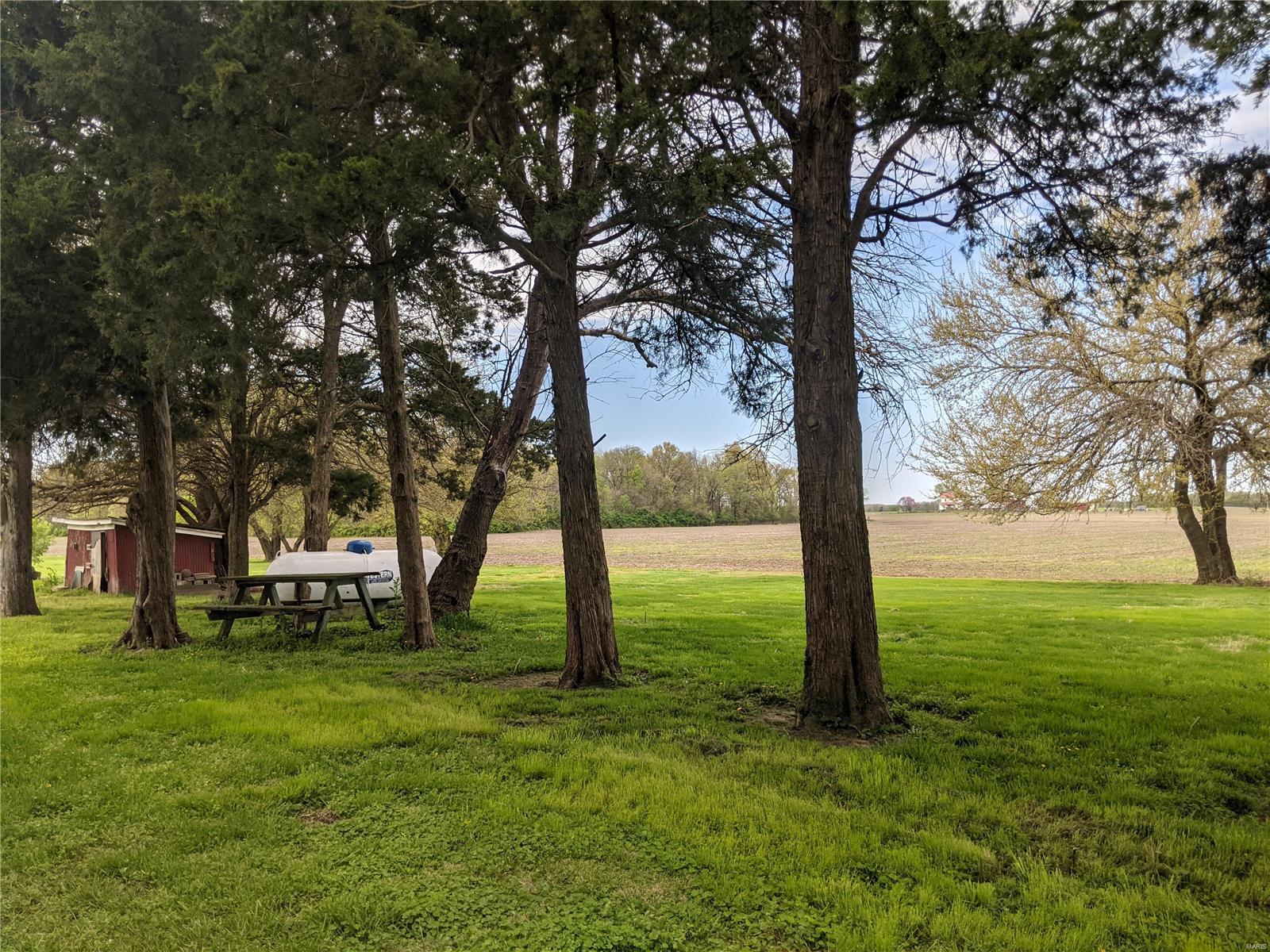 9819 Hunter Field Road Sparta, IL 62286 - Photo 8 of 34