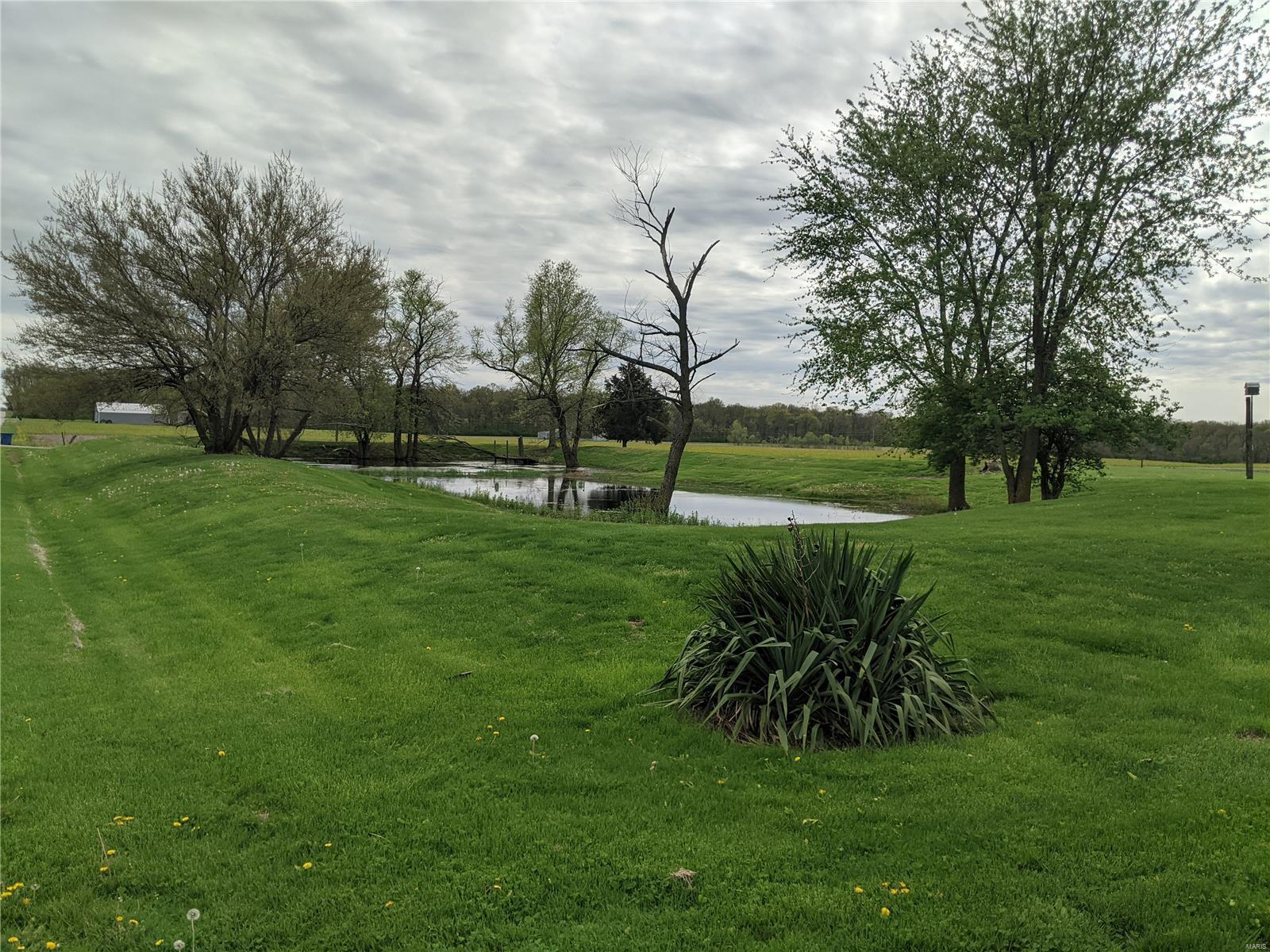 9819 Hunter Field Road Sparta, IL 62286 - Photo 10 of 34