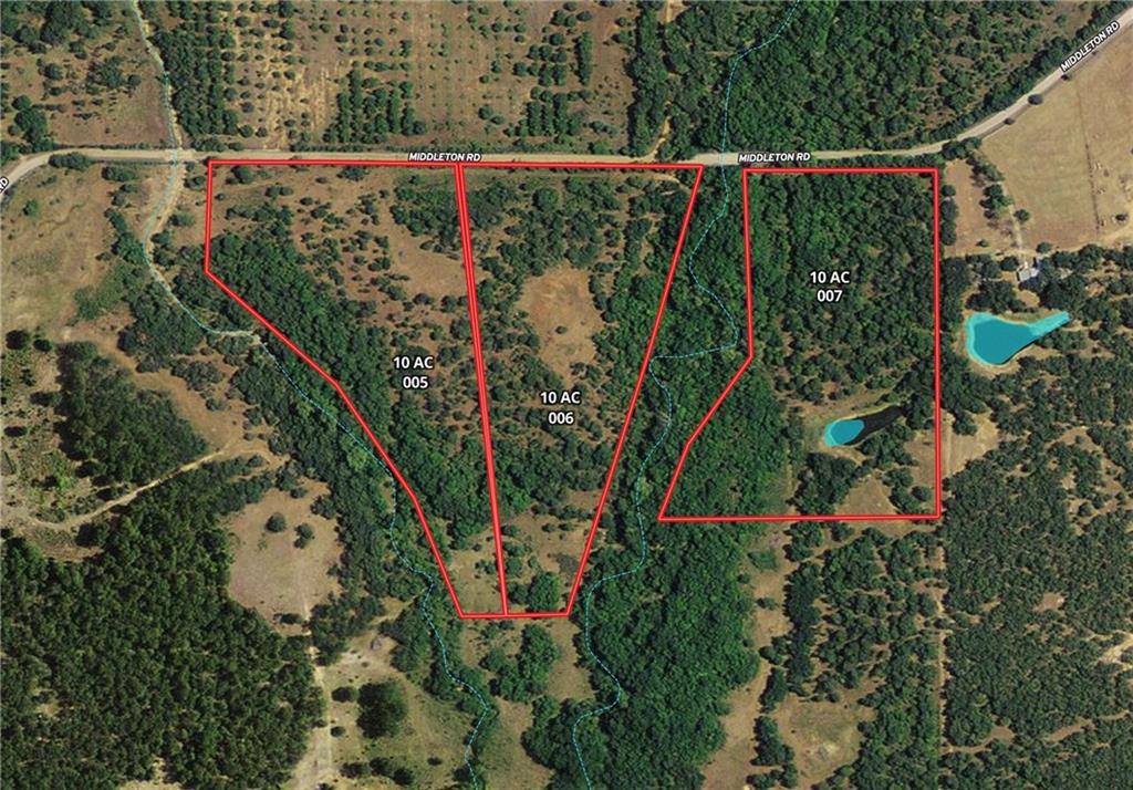 a view of a plant in a balcony