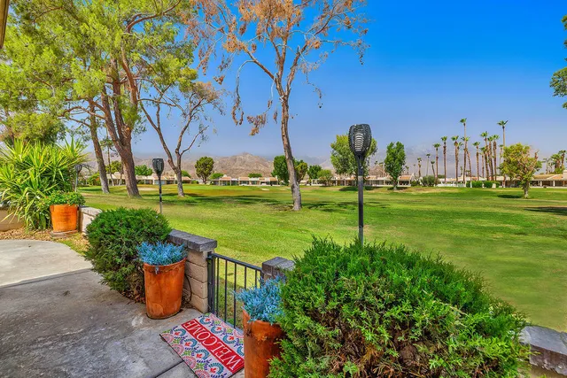 a view of a park with large trees