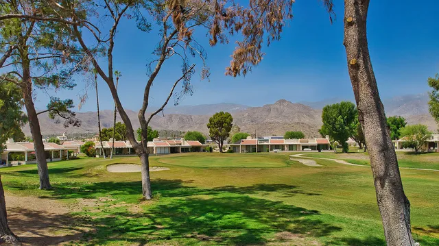 a view of a park with large trees