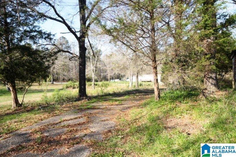 3590 Post Oak Road Jacksonville, AL 36265 - Photo 7 of 11