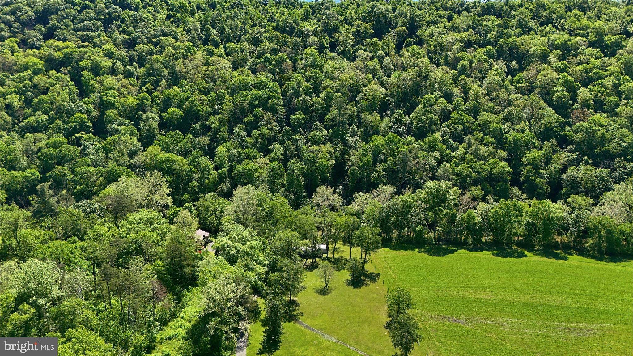 Patterson Creek Village Pike Ridgeley, WV 26753 - Photo 16 of 25