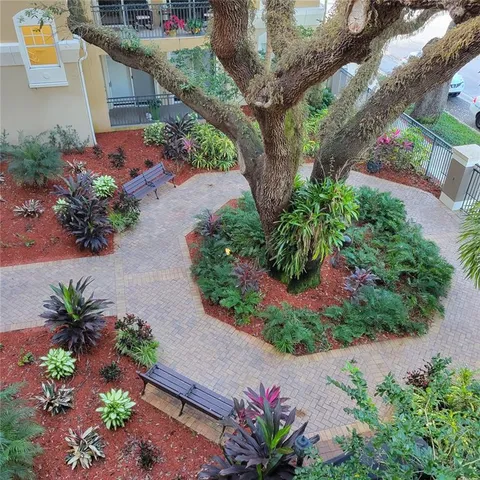 a picture of flowers