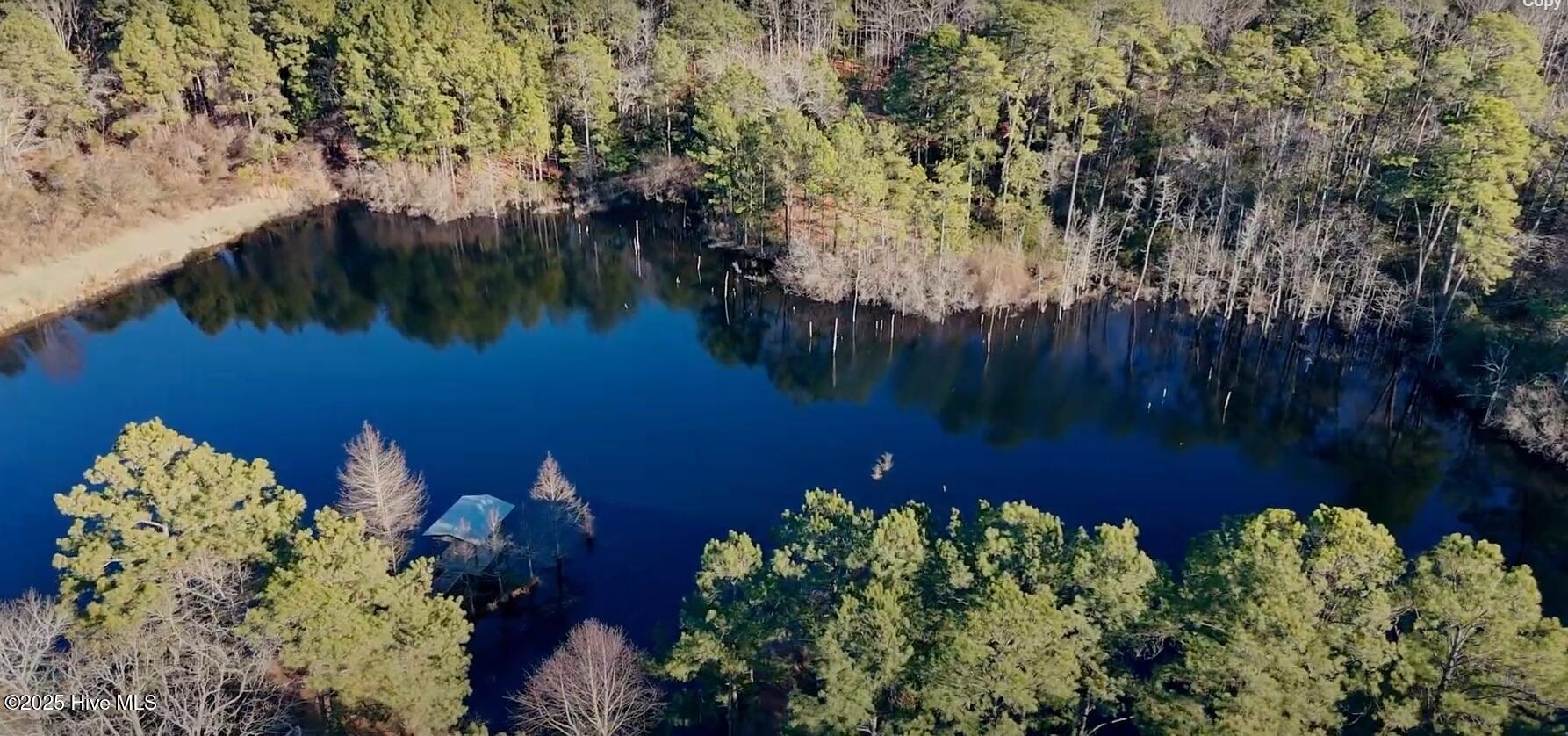 3565 Niagara Carthage Road Carthage, NC 28327 - Photo 23 of 89 Pond