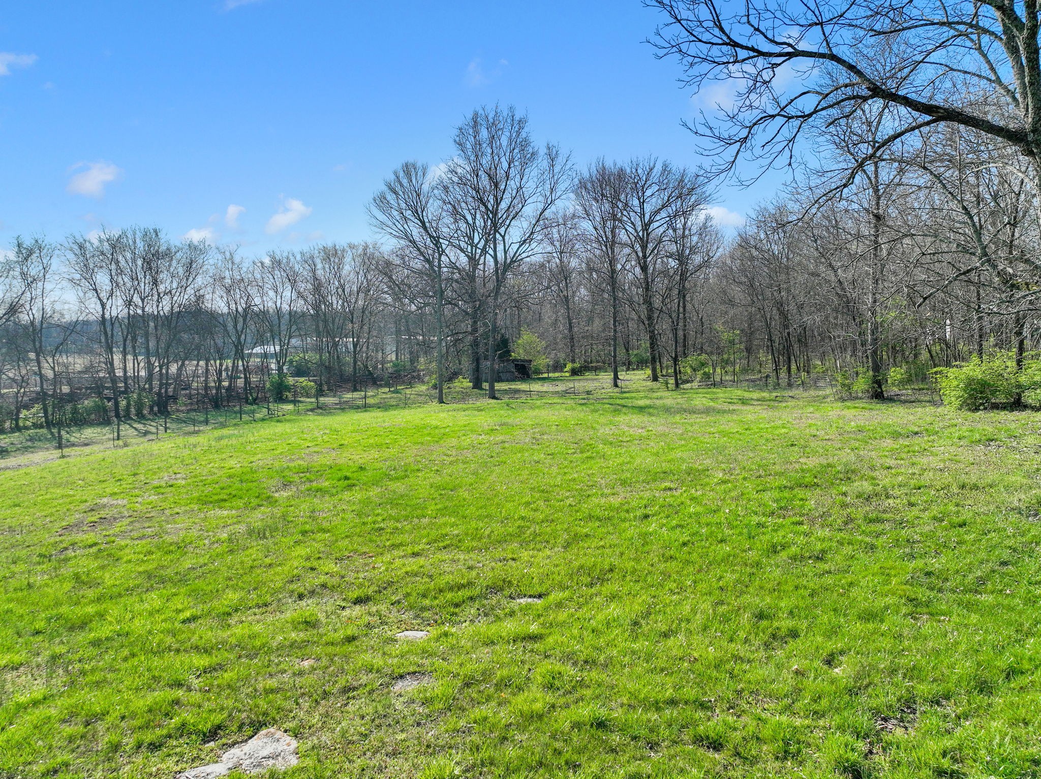 2600 Cooks Road Mount Juliet, TN 37122 - Photo 34 of 40 a view of a park with large trees