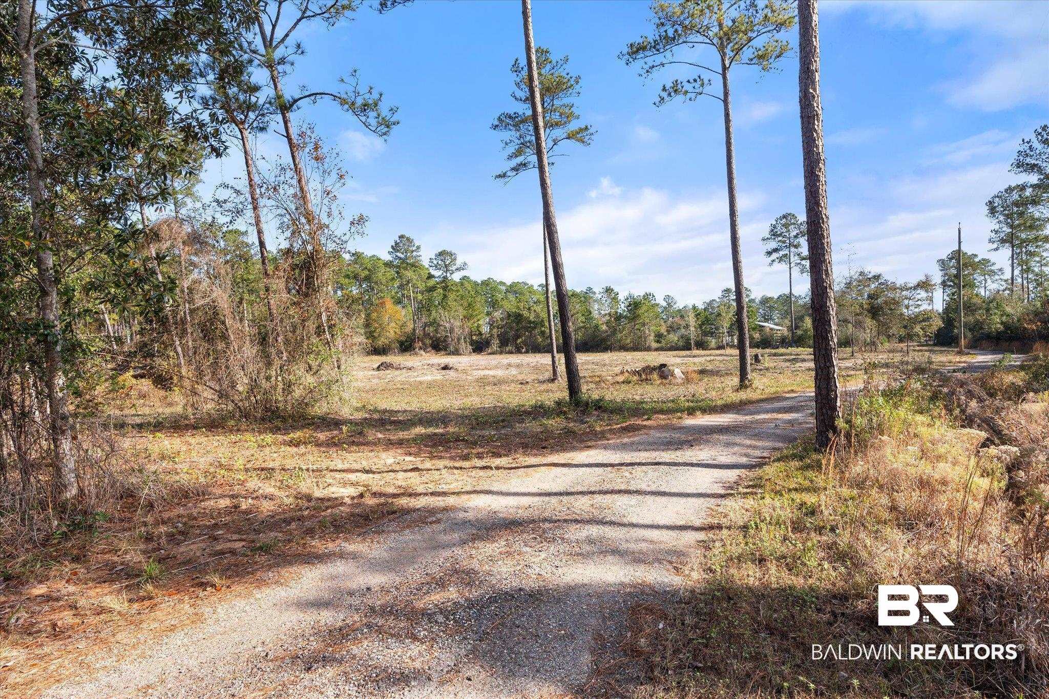 29883 Kingdom Lane Elberta, AL 36530 - Photo 3 of 17 View of street