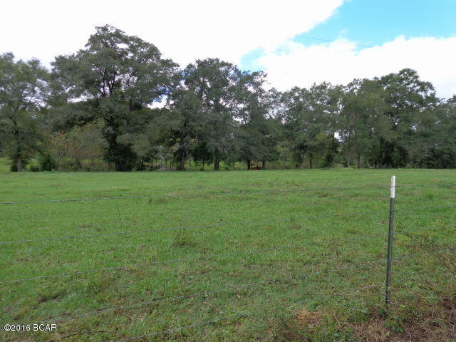 745 Braswell Road Grand Ridge, FL 32442 - Photo 13 of 100 Gallery Image 13