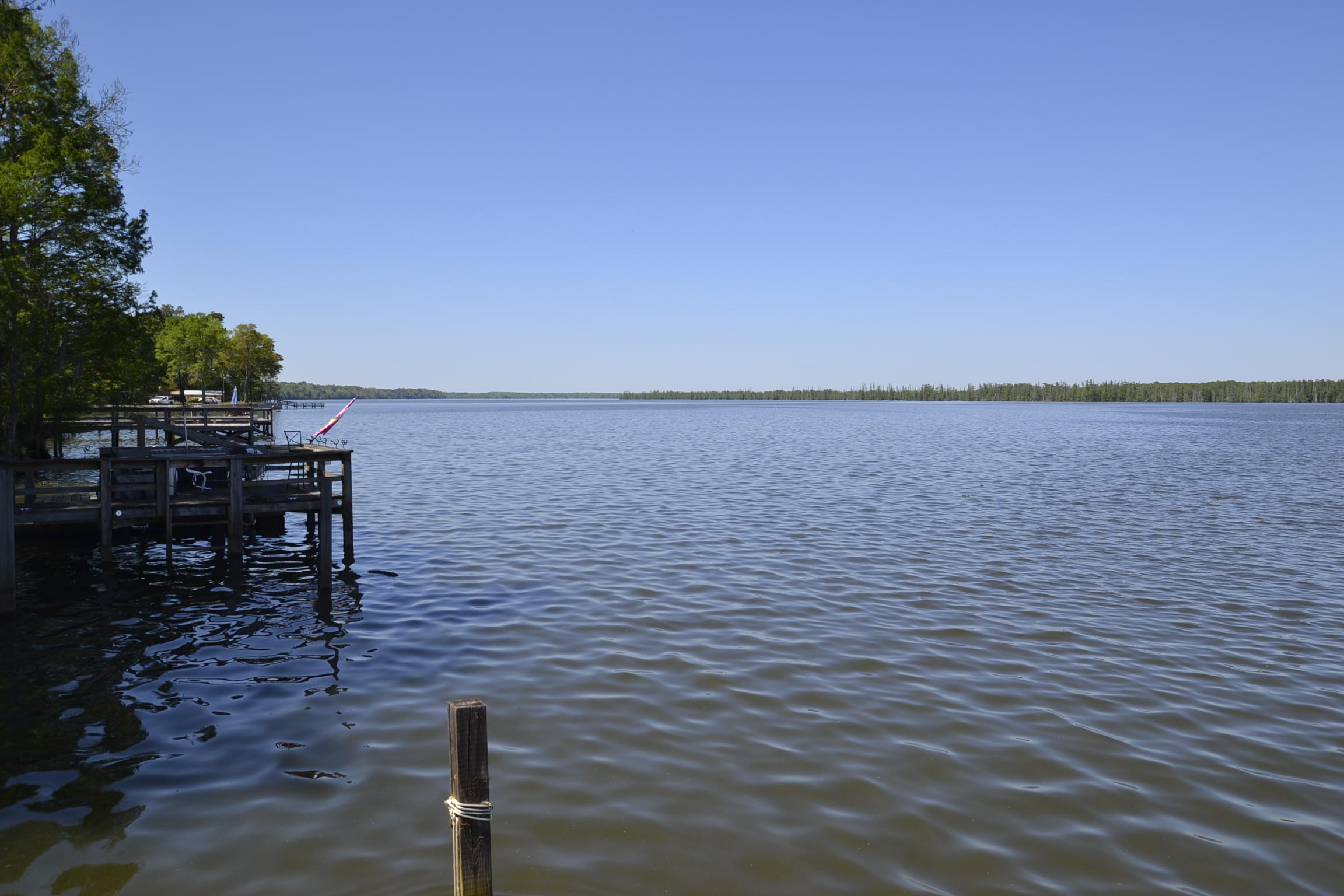 701 Stumphole Road Elloree, SC 29047 - Photo 14 of 49 _DSC0034