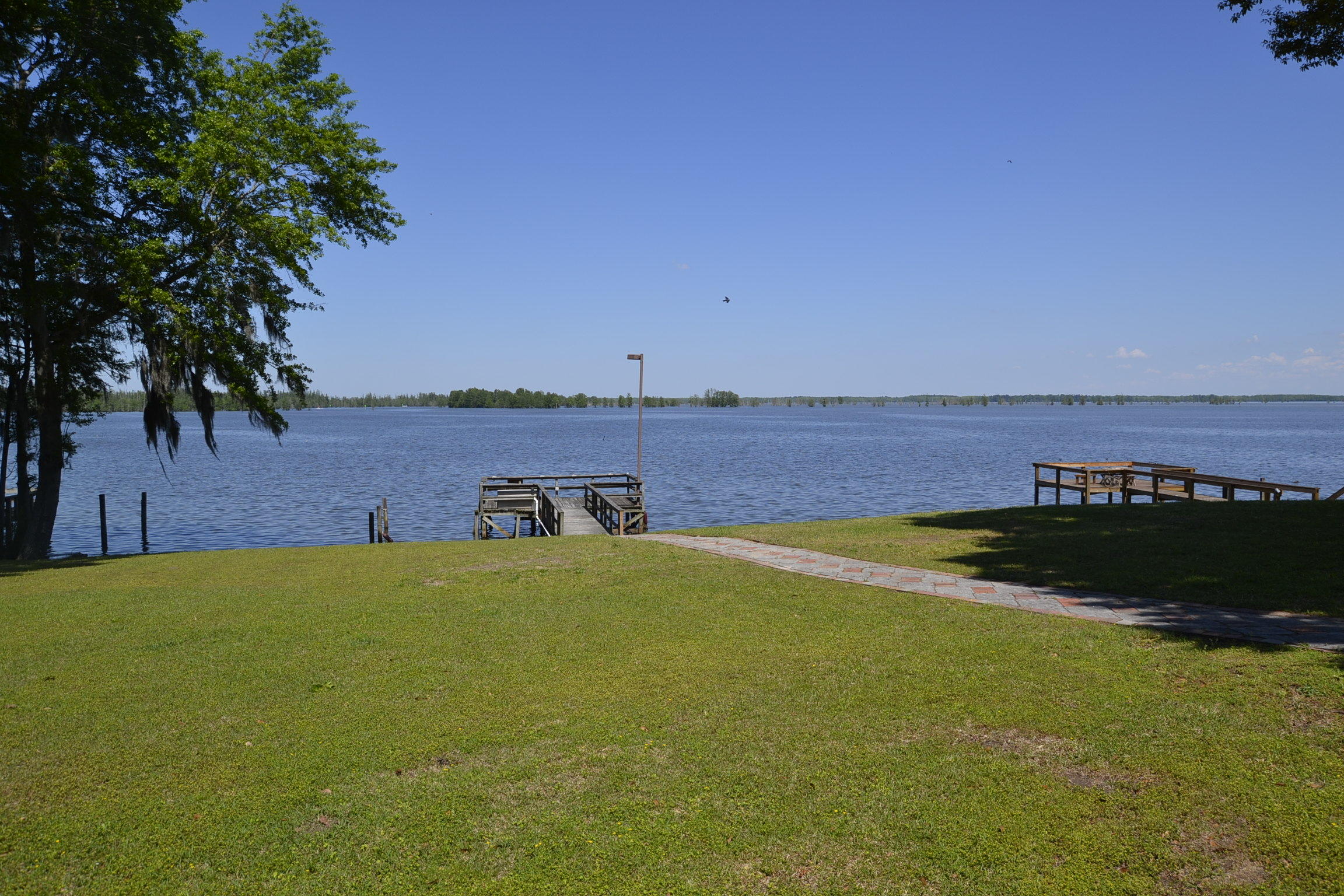 701 Stumphole Road Elloree, SC 29047 - Photo 9 of 49 _DSC0029