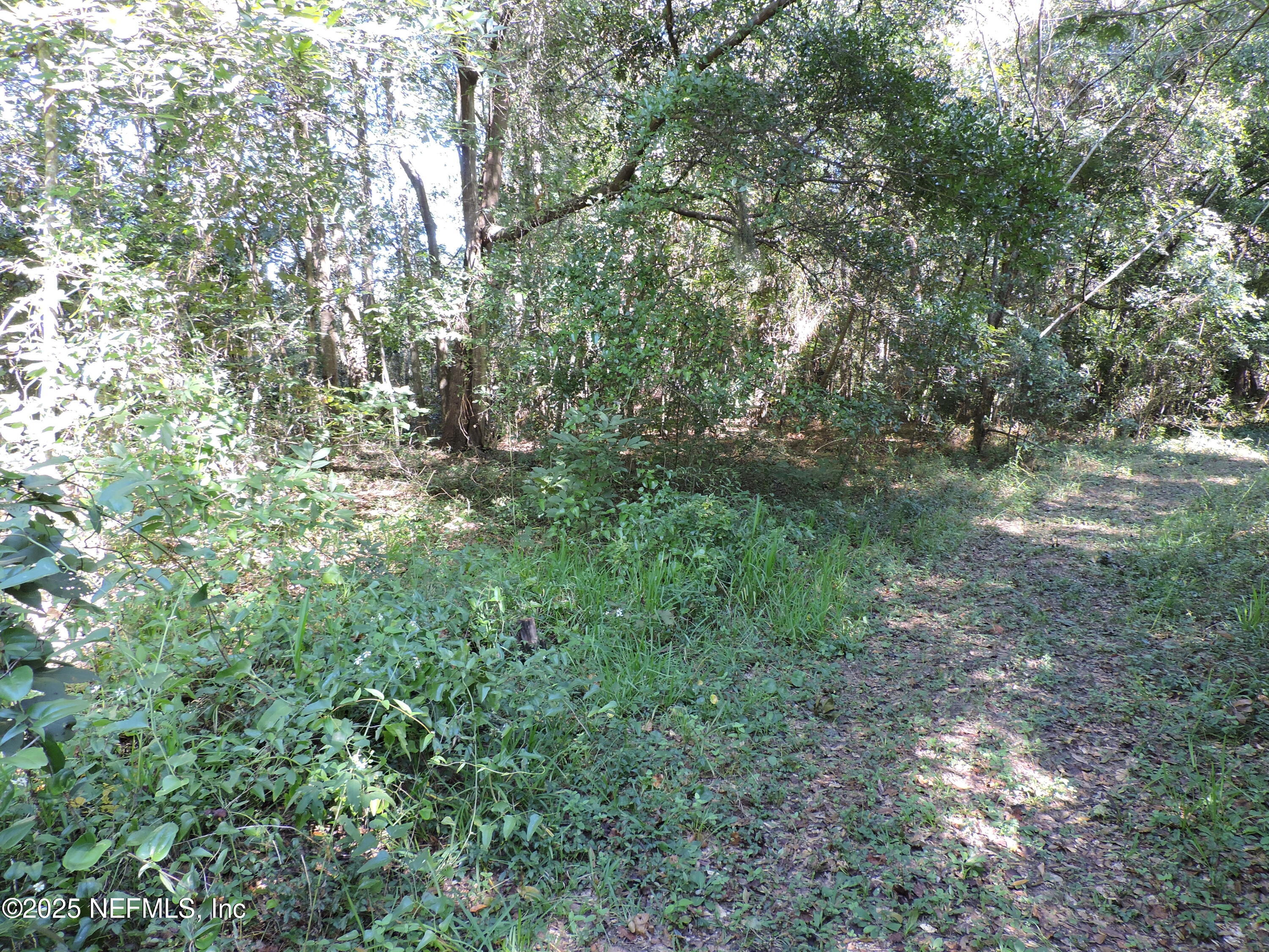 2955-2935 New Berlin Road Jacksonville, FL 32226 - Photo 11 of 78 a view of a yard with a tree