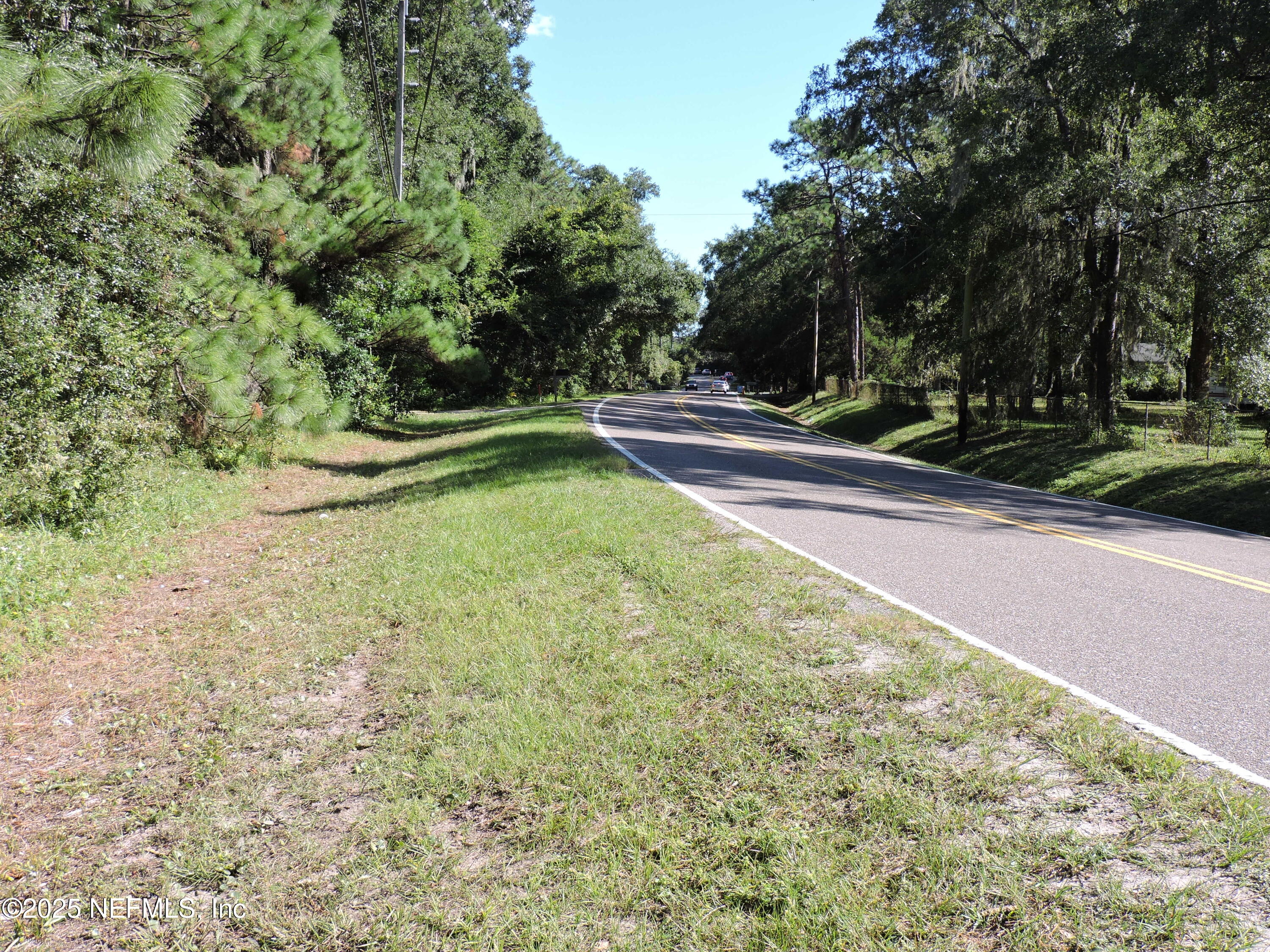 2955-2935 New Berlin Road Jacksonville, FL 32226 - Photo 14 of 78 a view of a yard with an trees