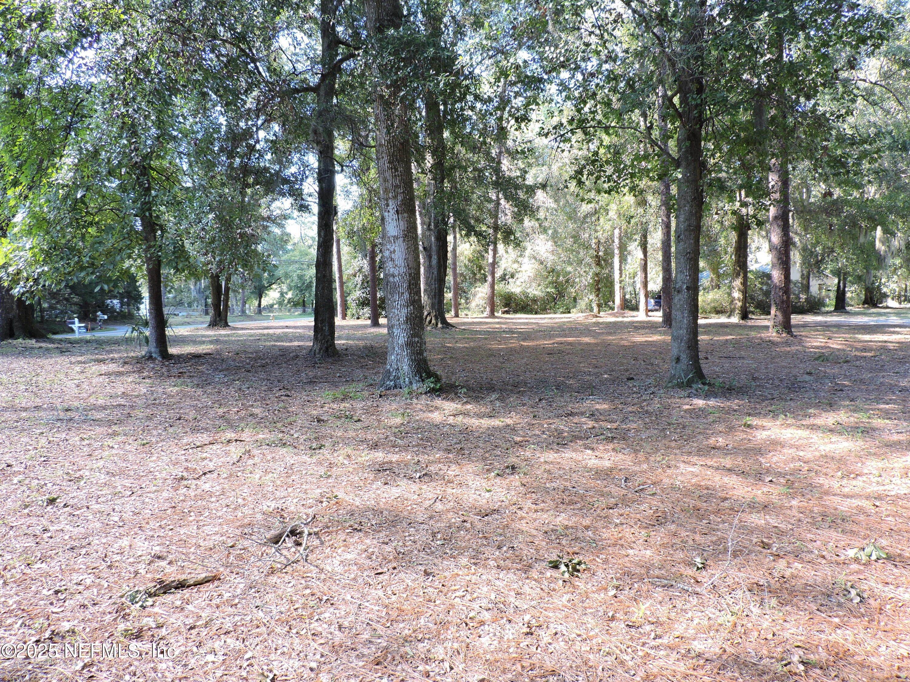 2955-2935 New Berlin Road Jacksonville, FL 32226 - Photo 37 of 78 a view of a yard with a tree