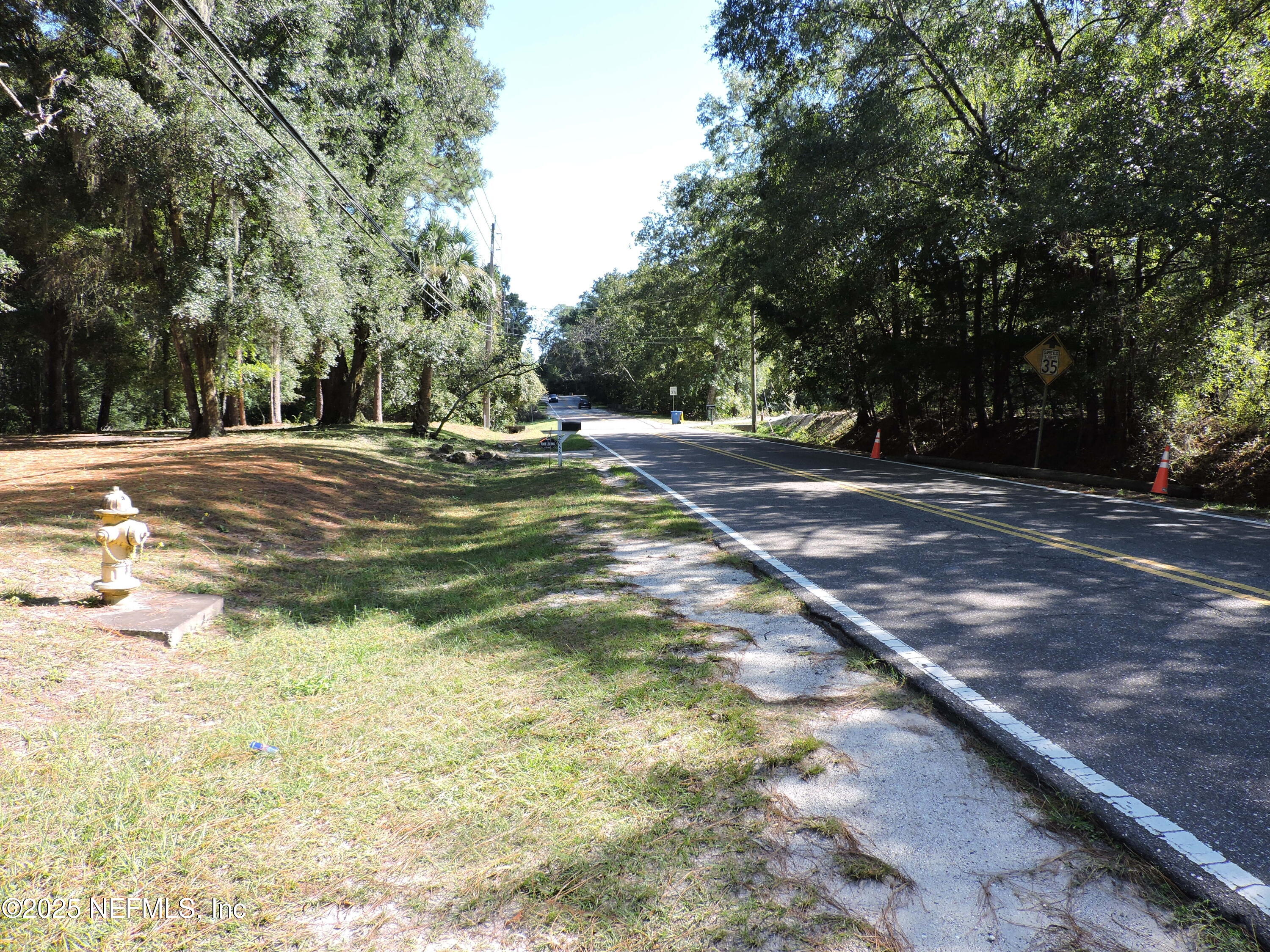 2955-2935 New Berlin Road Jacksonville, FL 32226 - Photo 54 of 78 a view of a yard with a trees