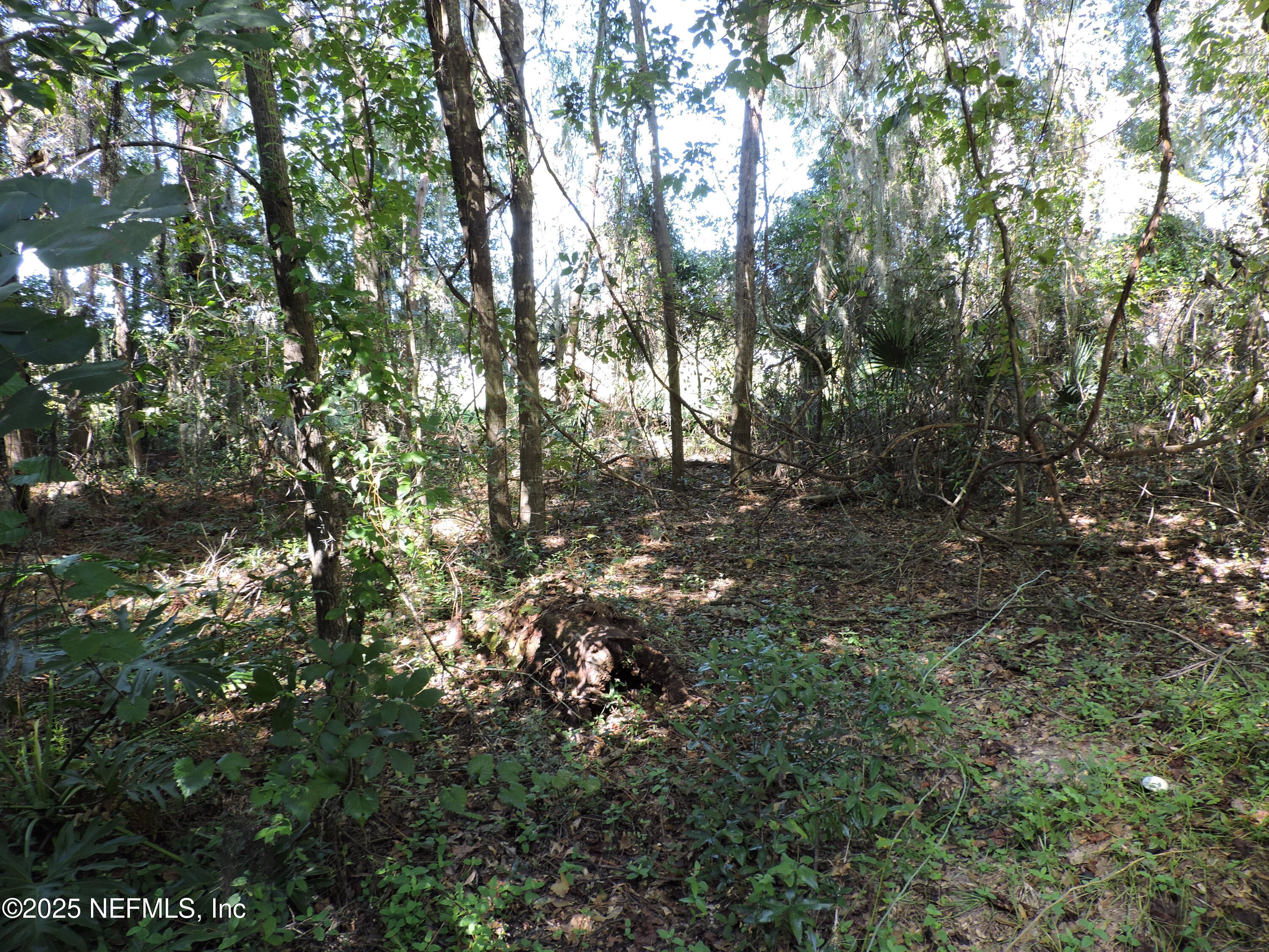 2955-2935 New Berlin Road Jacksonville, FL 32226 - Photo 6 of 78 0 New Berlin (3)