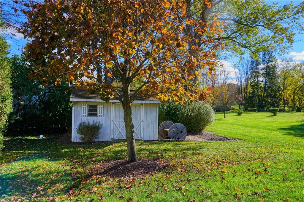 403 Meridian Road Butler, PA 16001 - Photo 5 of 25 a view of a house with yard and a tree
