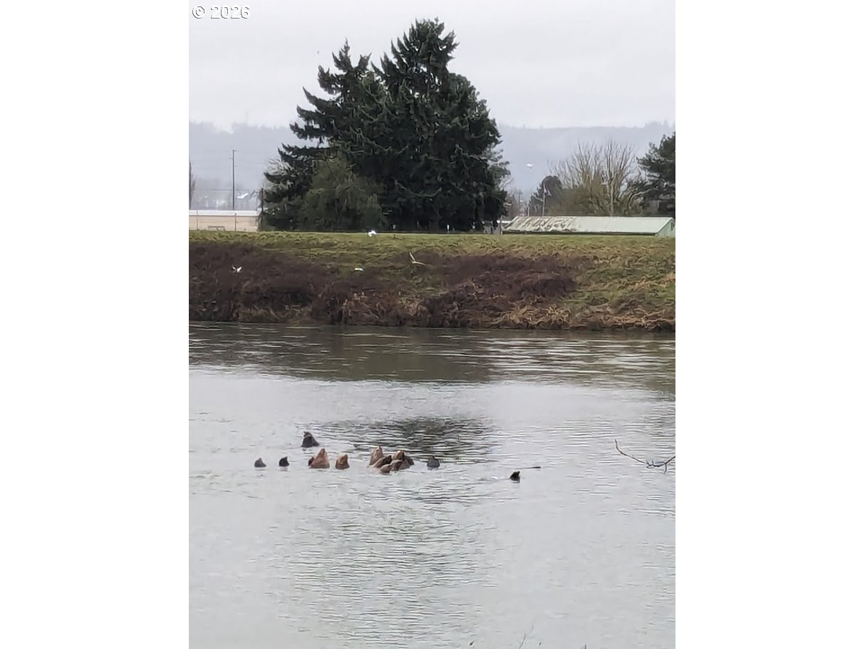 2056 South River Road Kelso, WA 98626 - Photo 12 of 13 a view of ocean view