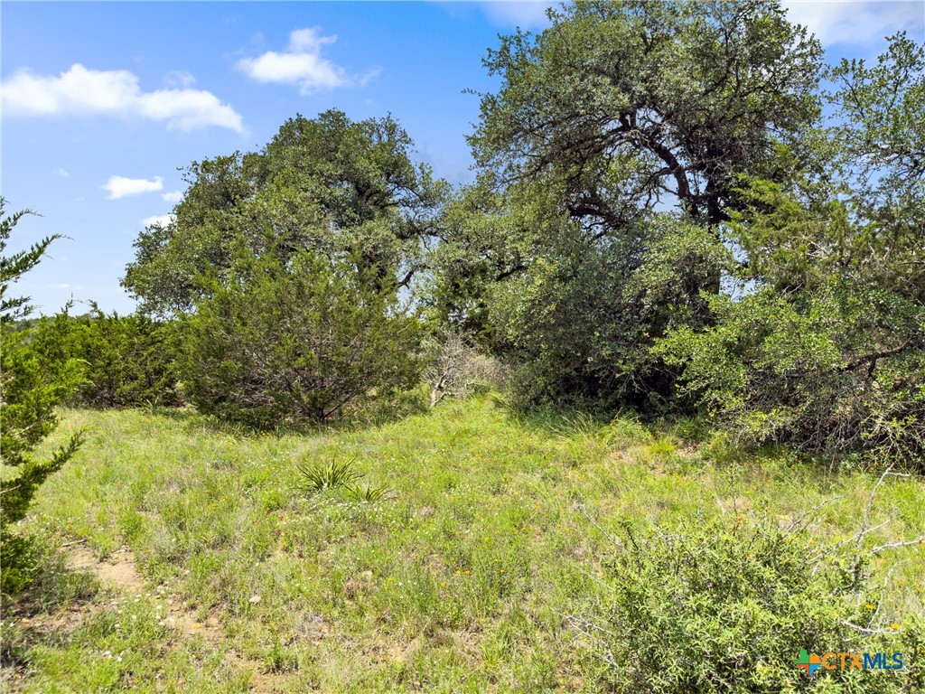 141 Vista View Place Spring Branch, TX 78070 - Photo 2 of 32