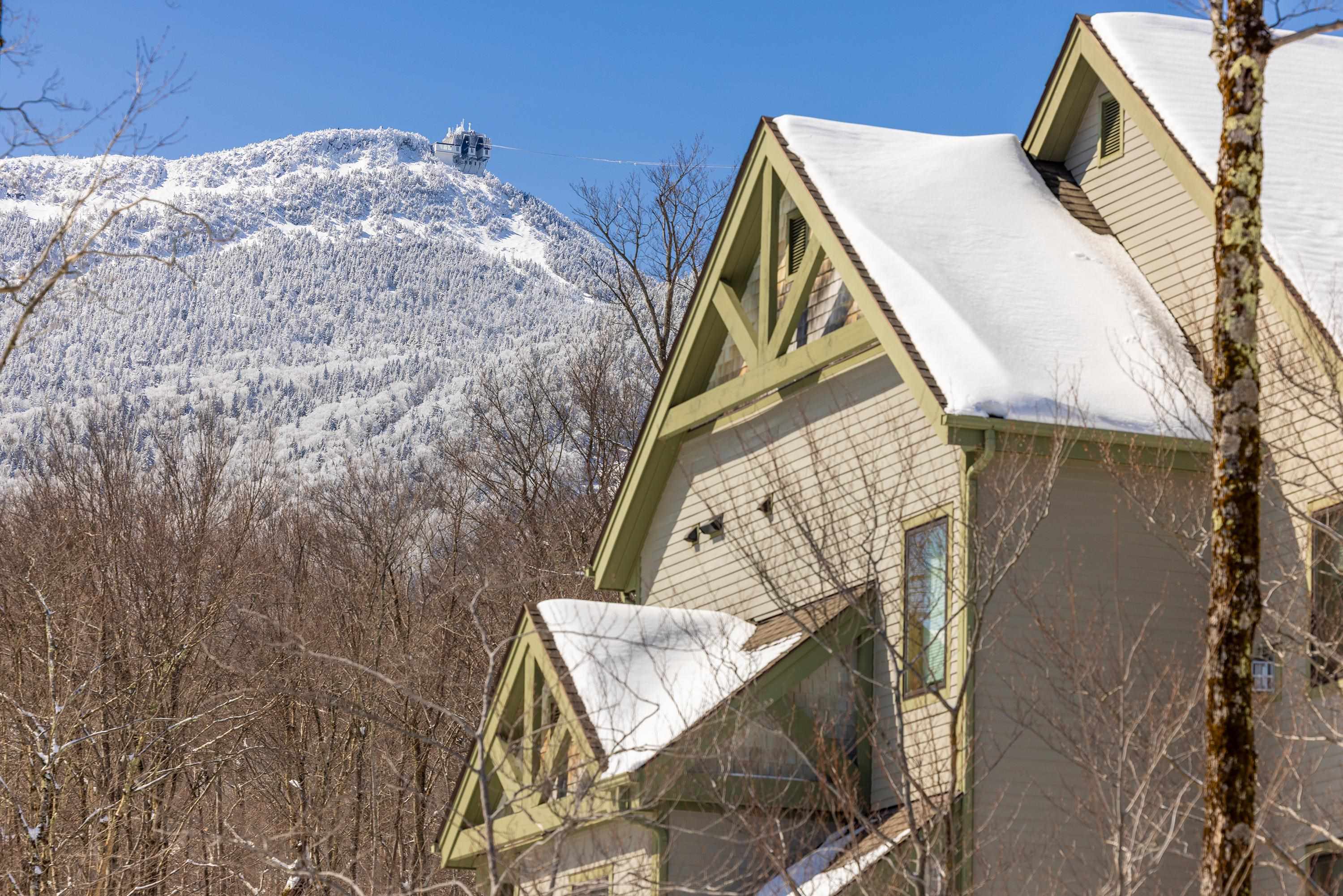 319 Jay Peak Road, Unit 4705 Jay, VT 05859 - Photo 4 of 39