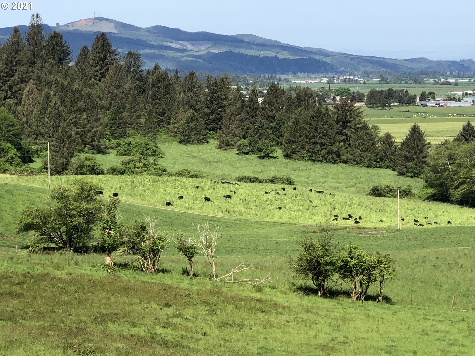 Hodgdon Road, Unit 201 Tillamook, OR 97141 - Photo 1 of 16 a view of a lush green hillside and houses