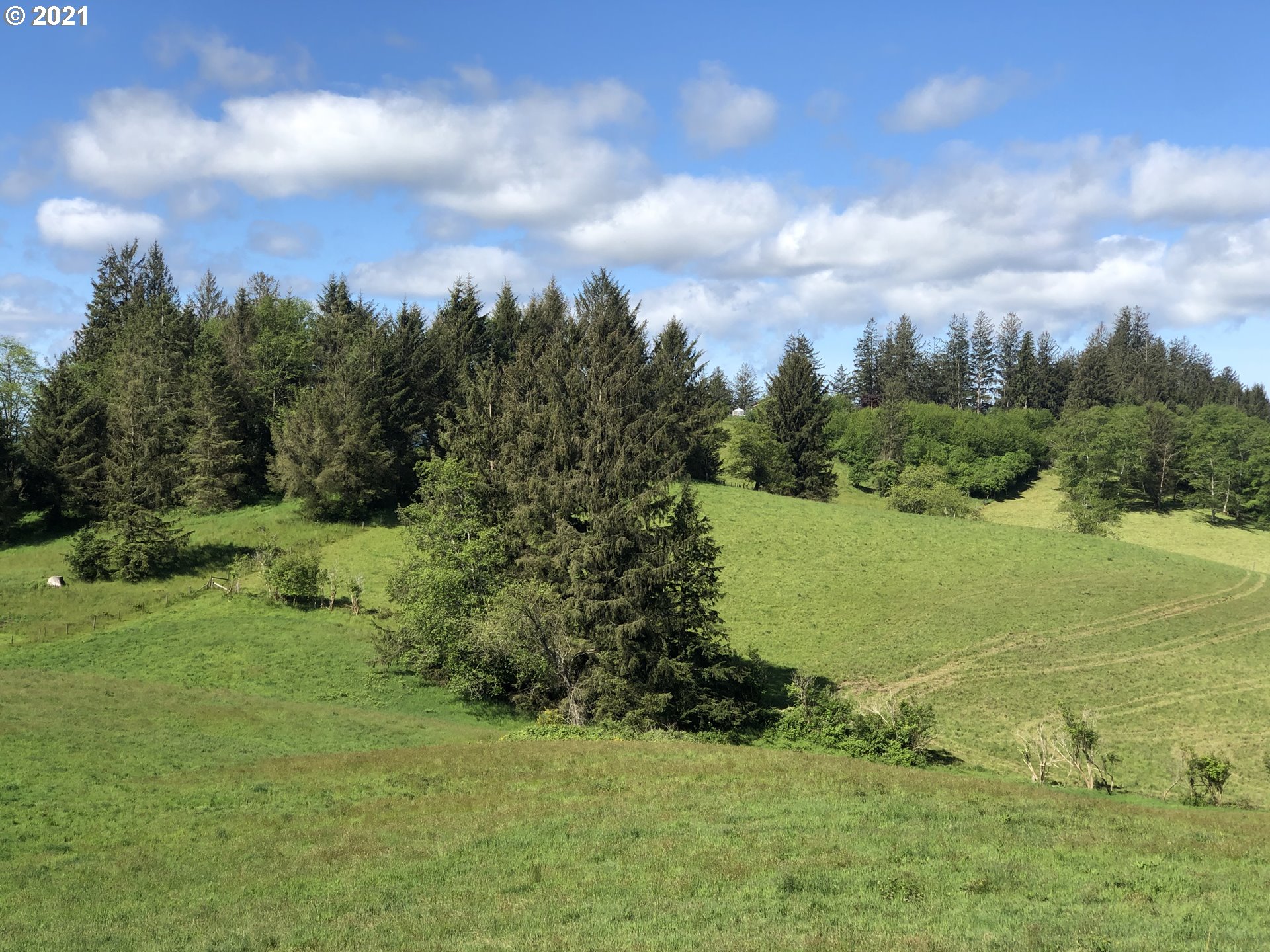 Hodgdon Road, Unit 201 Tillamook, OR 97141 - Photo 3 of 16 a view of a yard with an trees
