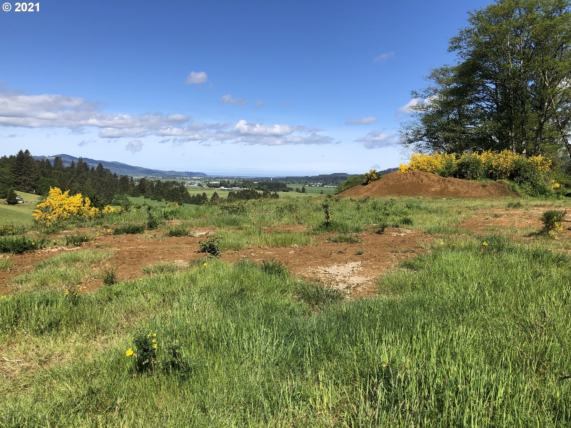 Hodgdon Road, Unit 201 Tillamook, OR 97141 - Photo 6 of 16 a view of lake with green space