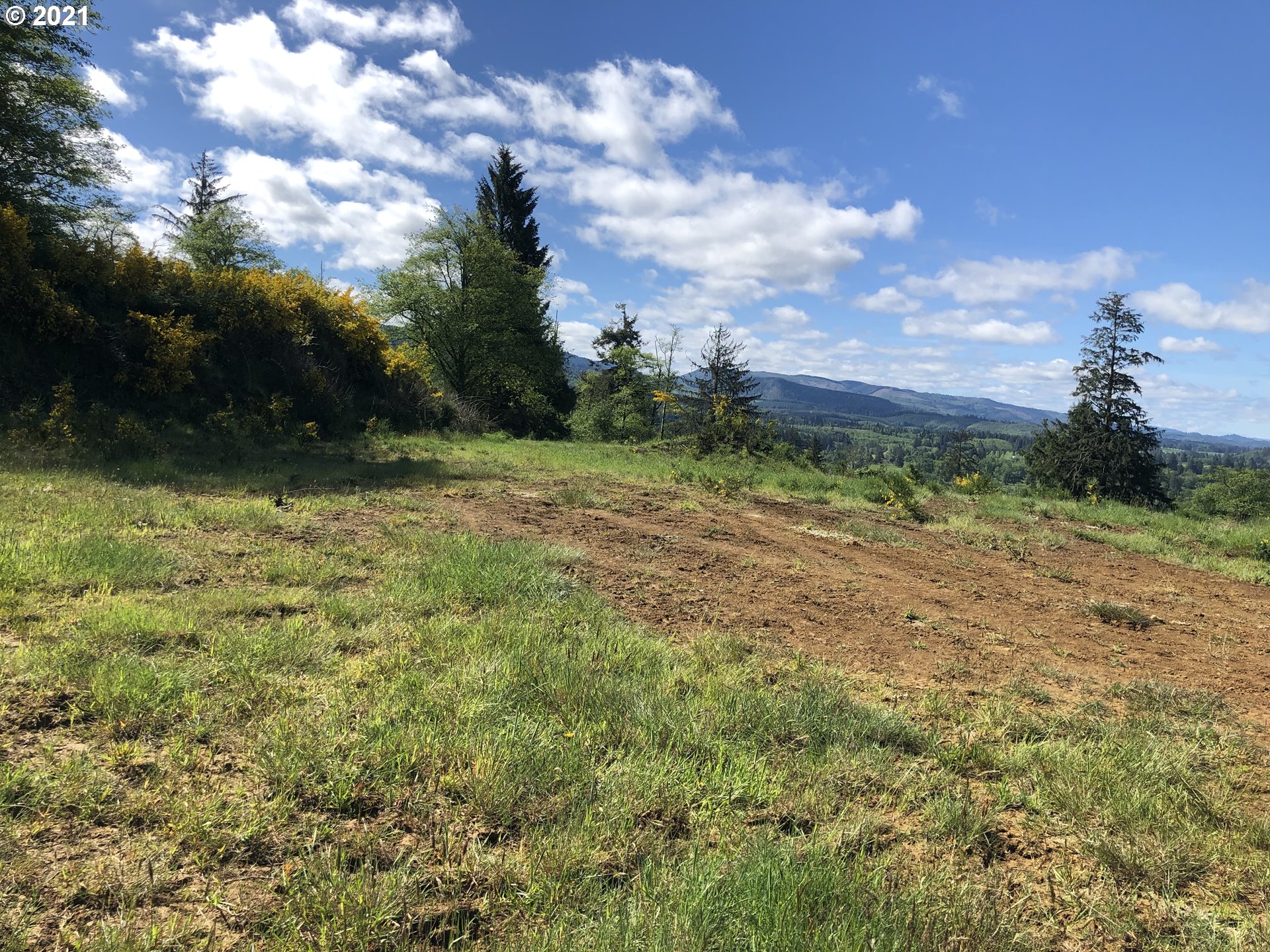Hodgdon Road, Unit 201 Tillamook, OR 97141 - Photo 7 of 16 a view of a yard