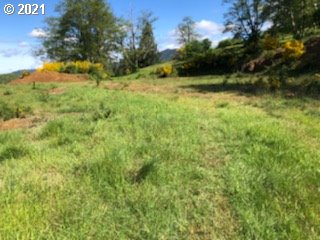 Hodgdon Road, Unit 201 Tillamook, OR 97141 - Photo 10 of 16 a view of a yard with plants and a bench