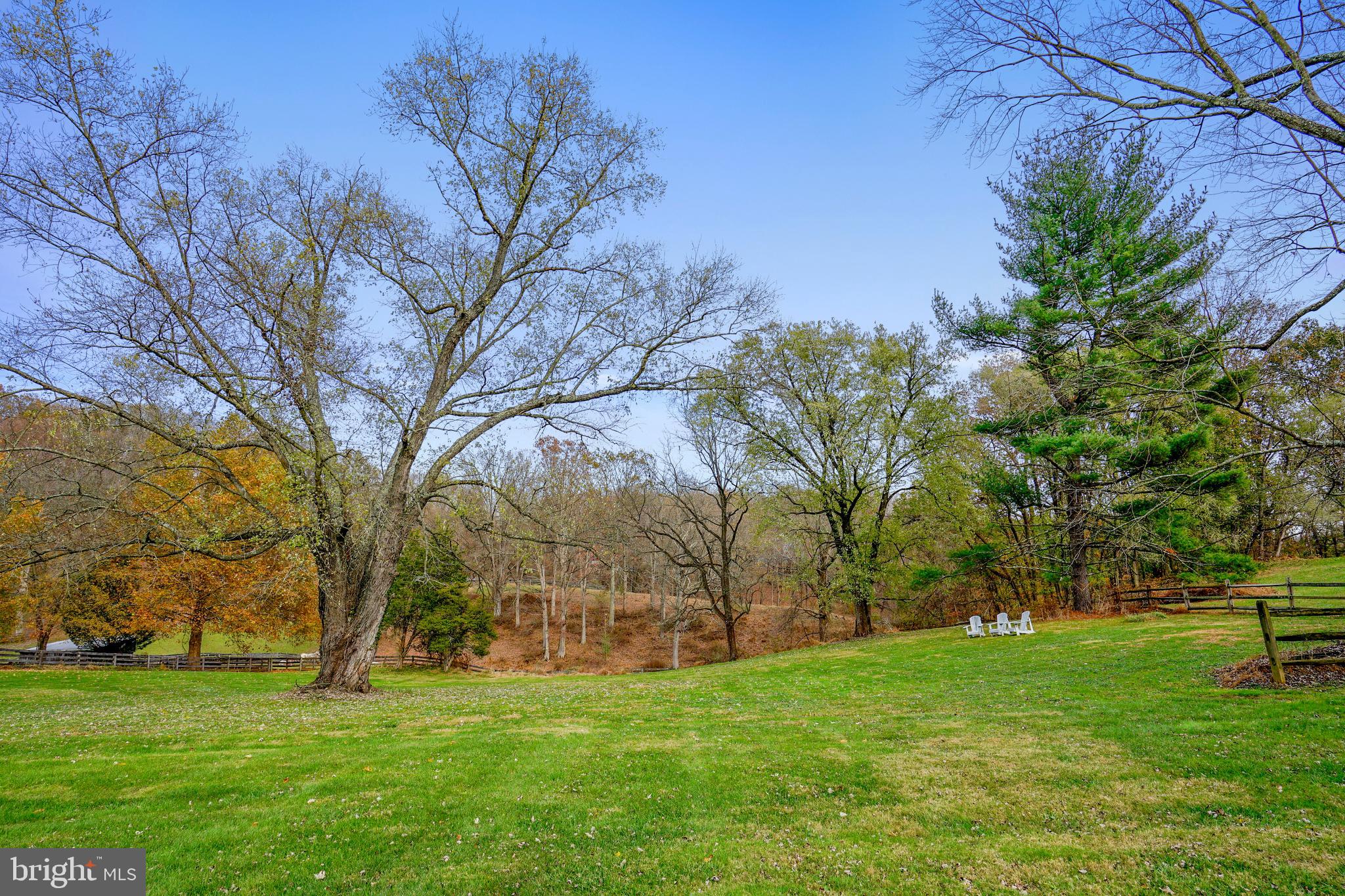 15309 York Road Sparks, MD 21152 - Photo 6 of 60 Level rear yard