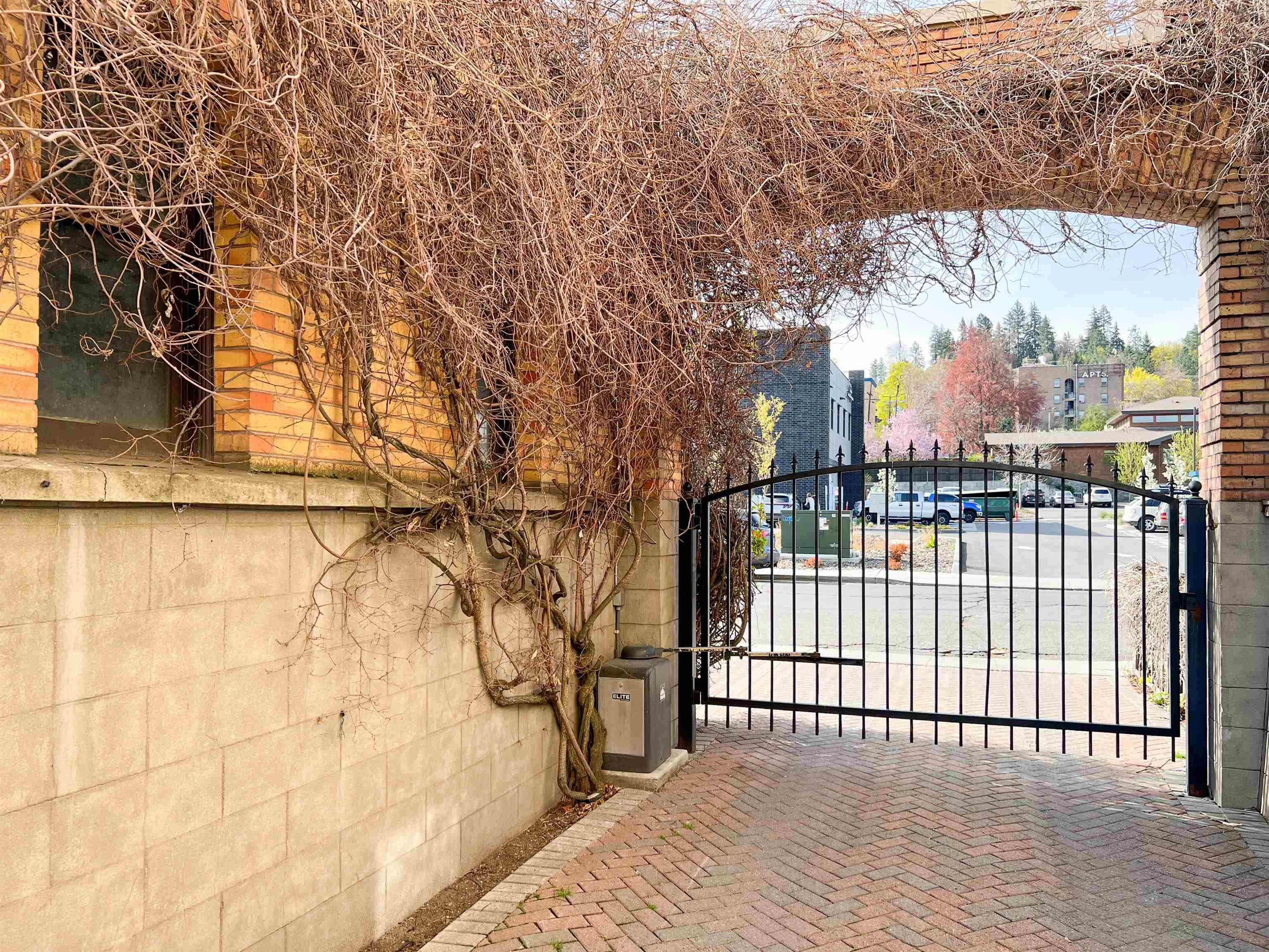 326 West 6th Avenue, Unit 304 Spokane, WA 99204 - Photo 38 of 46