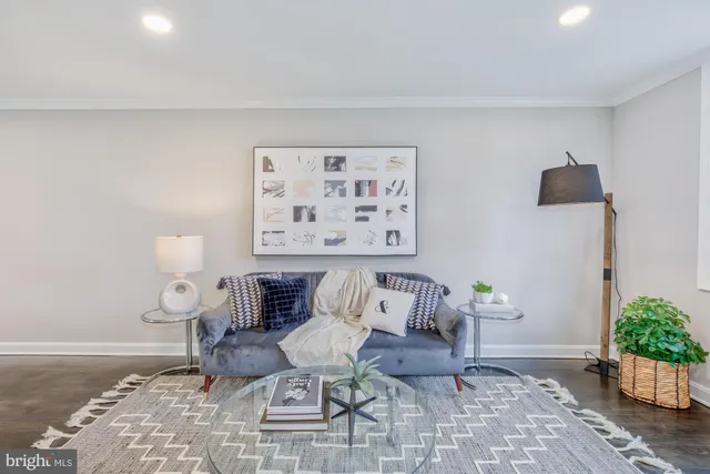 a living room with furniture and a potted plant
