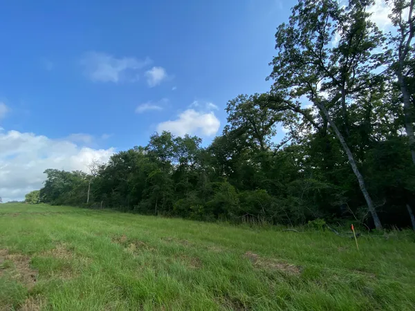 a view of a green field with lots of bushes
