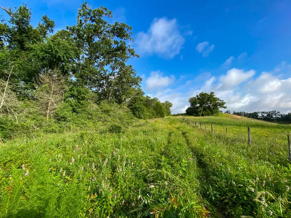 a view of a lake with a yard