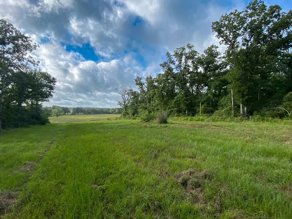 a view of outdoor space with green field and trees