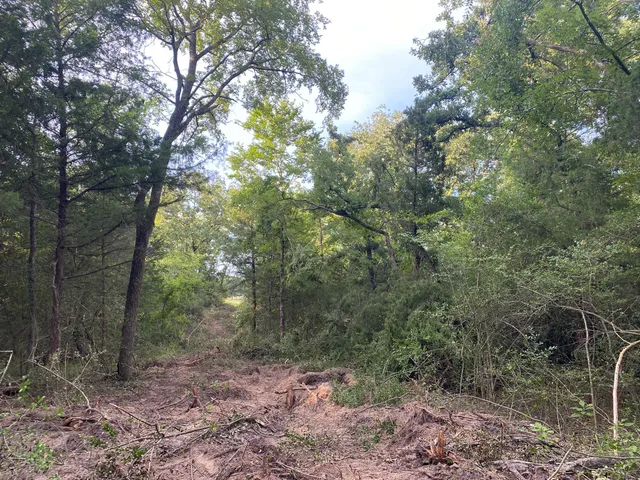 $249,000 | 7-8 County Road 426, Marquez, TX 77865