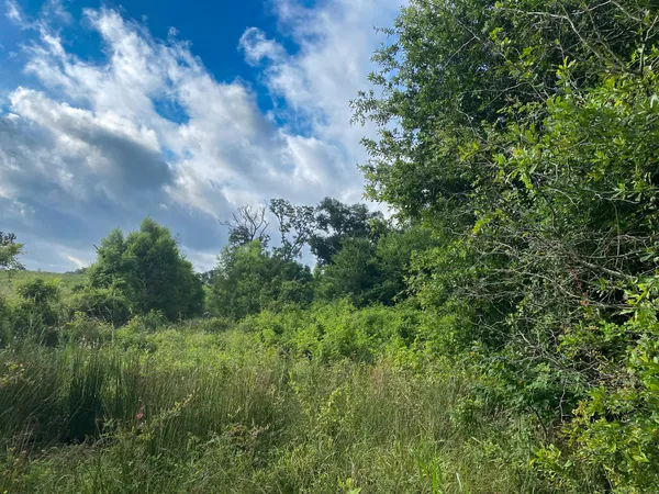 a view of a green field