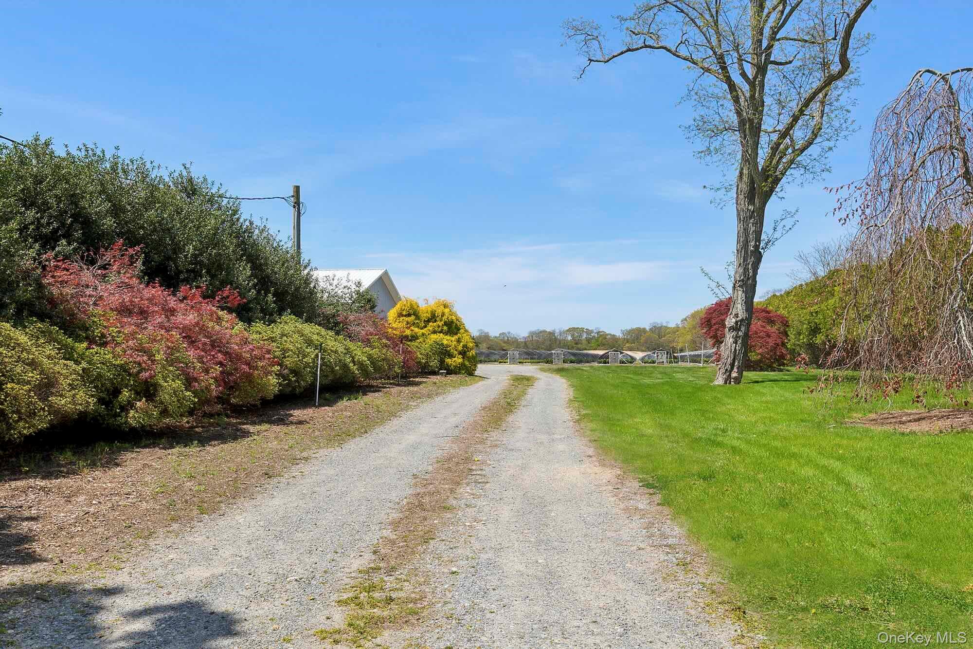 935 Franklinville Road Laurel, NY 11948 - Photo 6 of 11 View of road with driveway