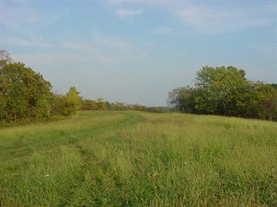 494 Falvey Road Butler, KY 41006 - Photo 7 of 7 Gallery Image 7
