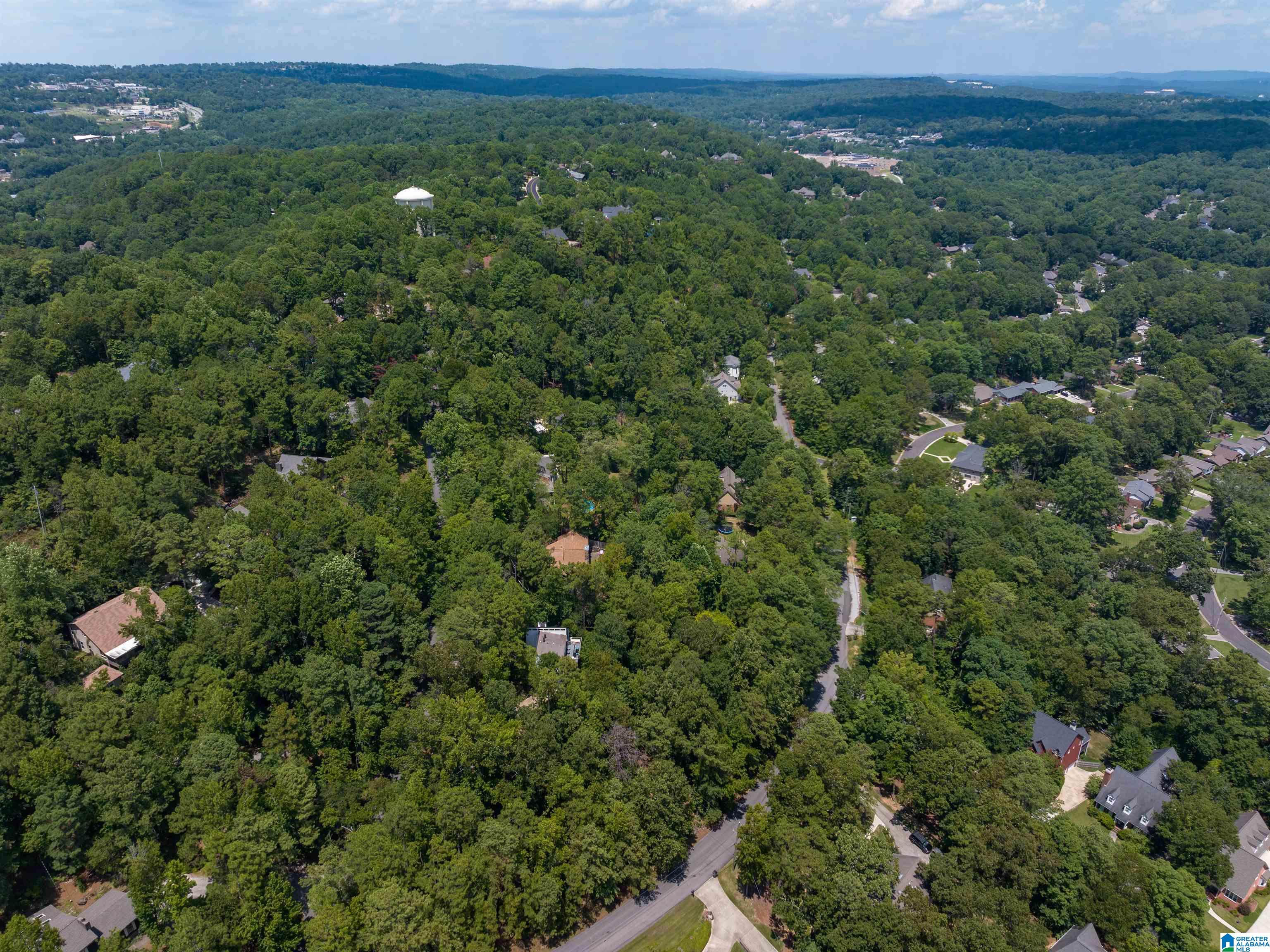 3117 Renfro Road Vestavia Hills, AL 35216 - Photo 59 of 60