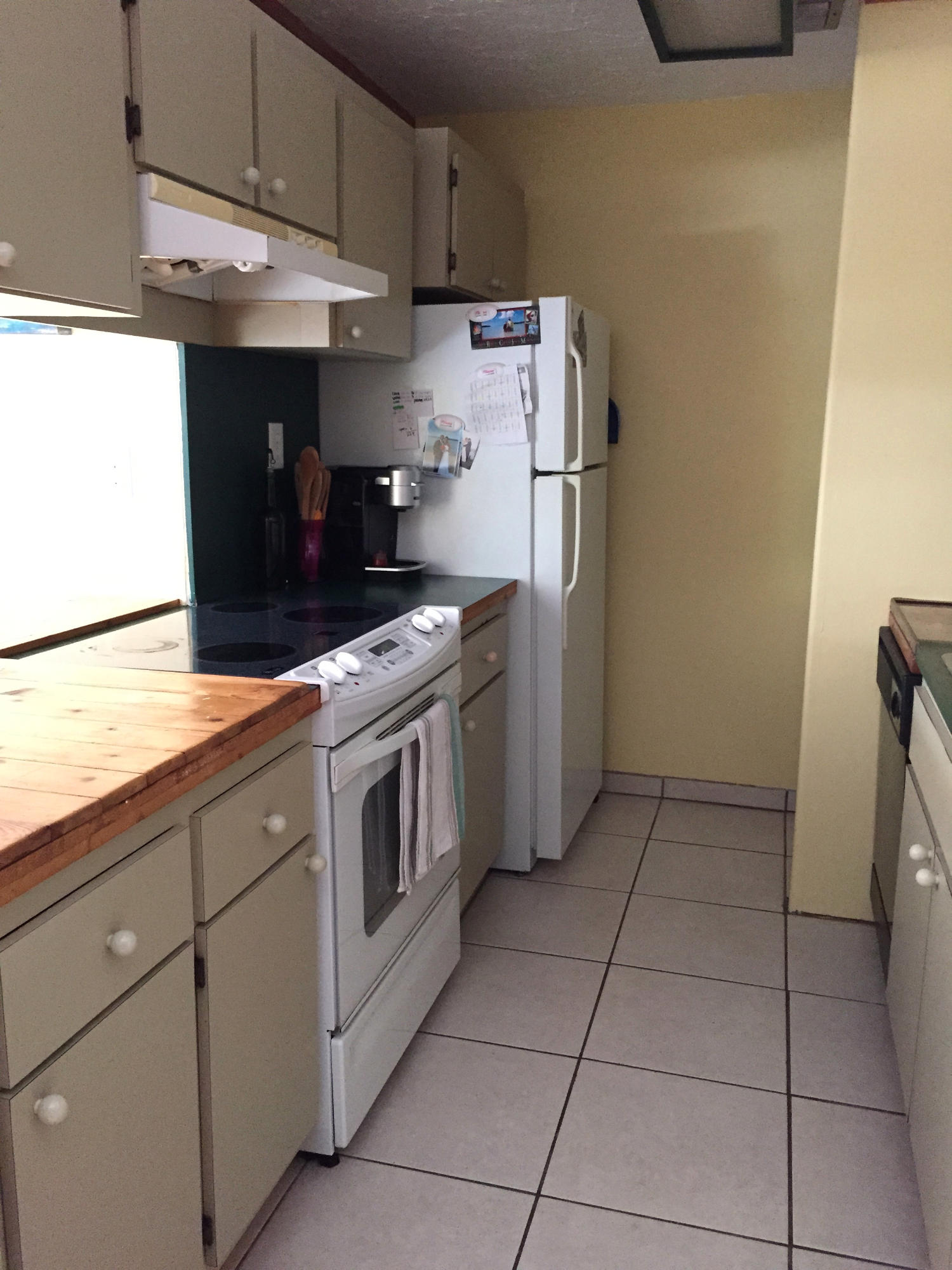 115 Stirrup Key Woods Road, Unit 4A2 Marathon, FL 33050 - Photo 3 of 13 Kitchen