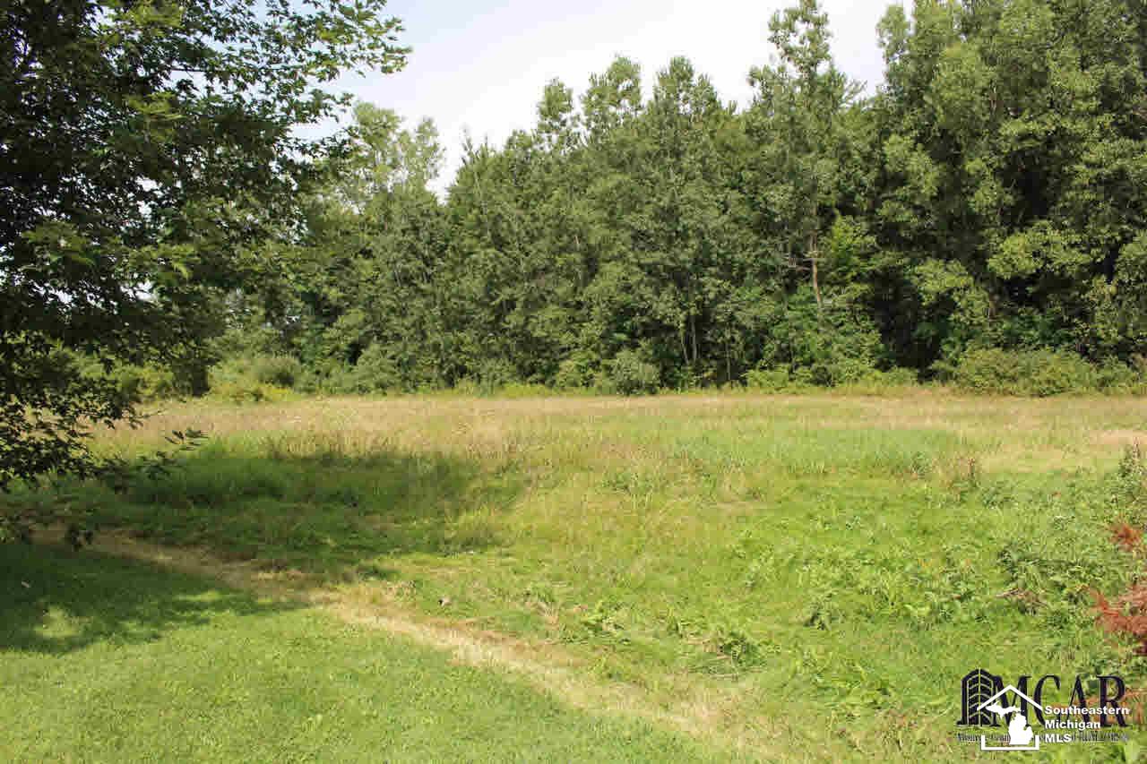 16448 Todd Road Petersburg, MI 49270 - Photo 21 of 21
