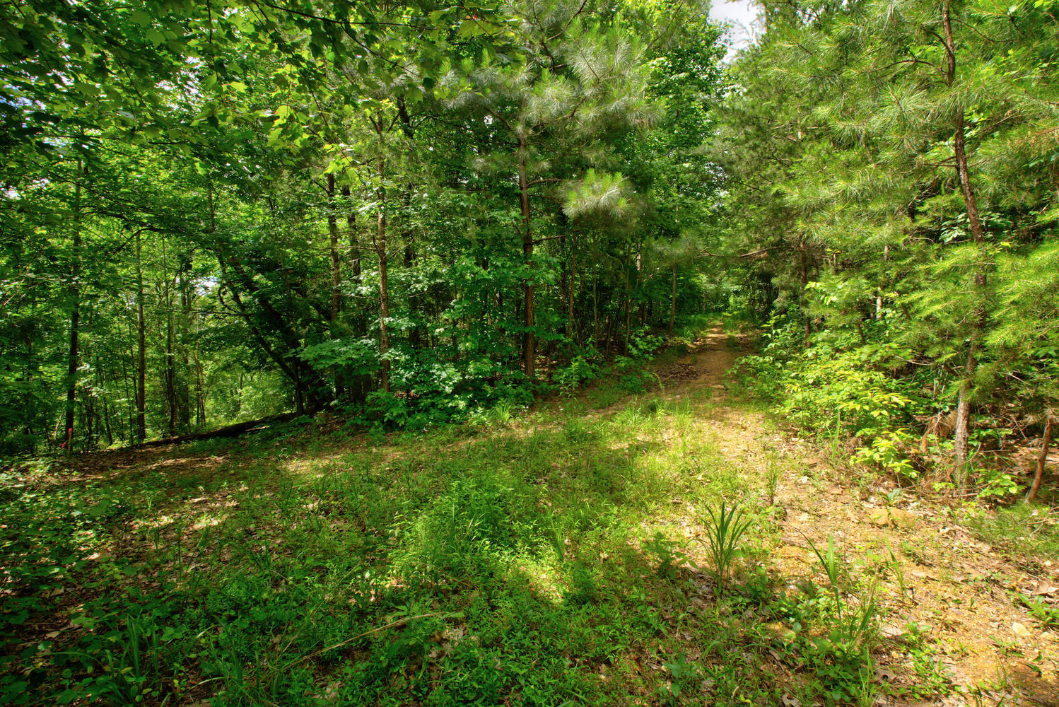 0 Southwest Candies Creek Road Southwest McDonald, TN 37353 - Photo 8 of 12 1100 Candies Creek Rd SW 688-large-008-0