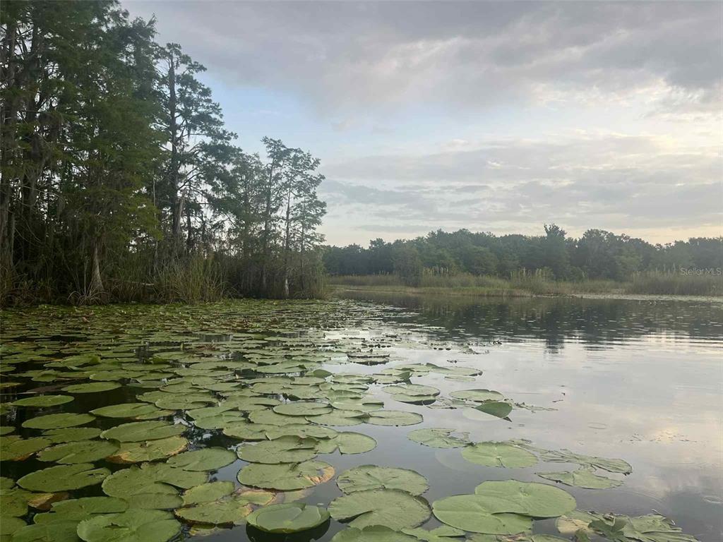 1135 North Jackadee Point Inverness, FL 34453 - Photo 2 of 6