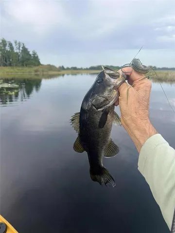 $99,500 | 1135 North Jackadee Point, Inverness, FL 34453