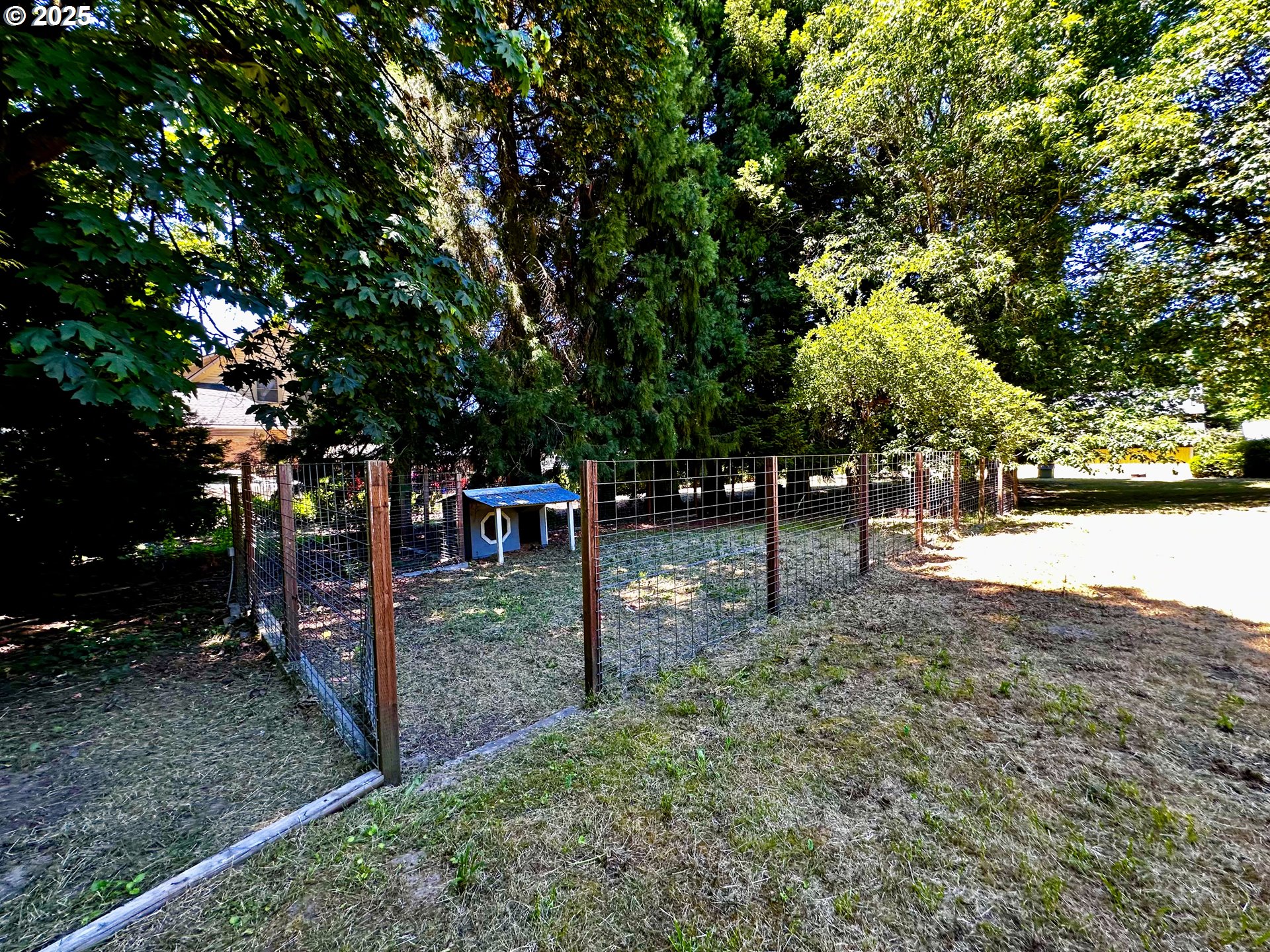2453 Highway 20 Albany, OR 97321 - Photo 31 of 47 a view of yard