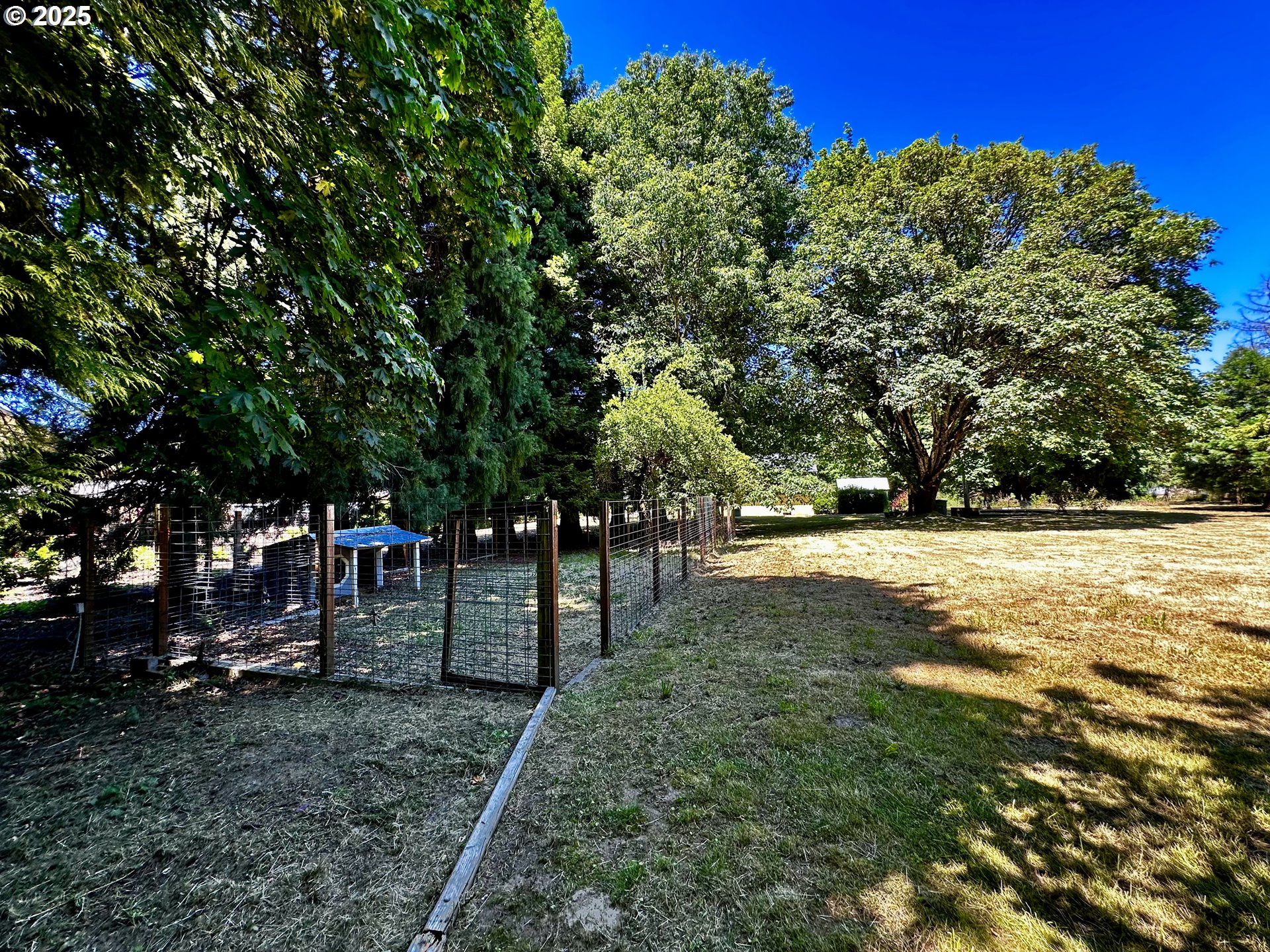 2453 Highway 20 Albany, OR 97321 - Photo 32 of 47 a view of outdoor space with trees