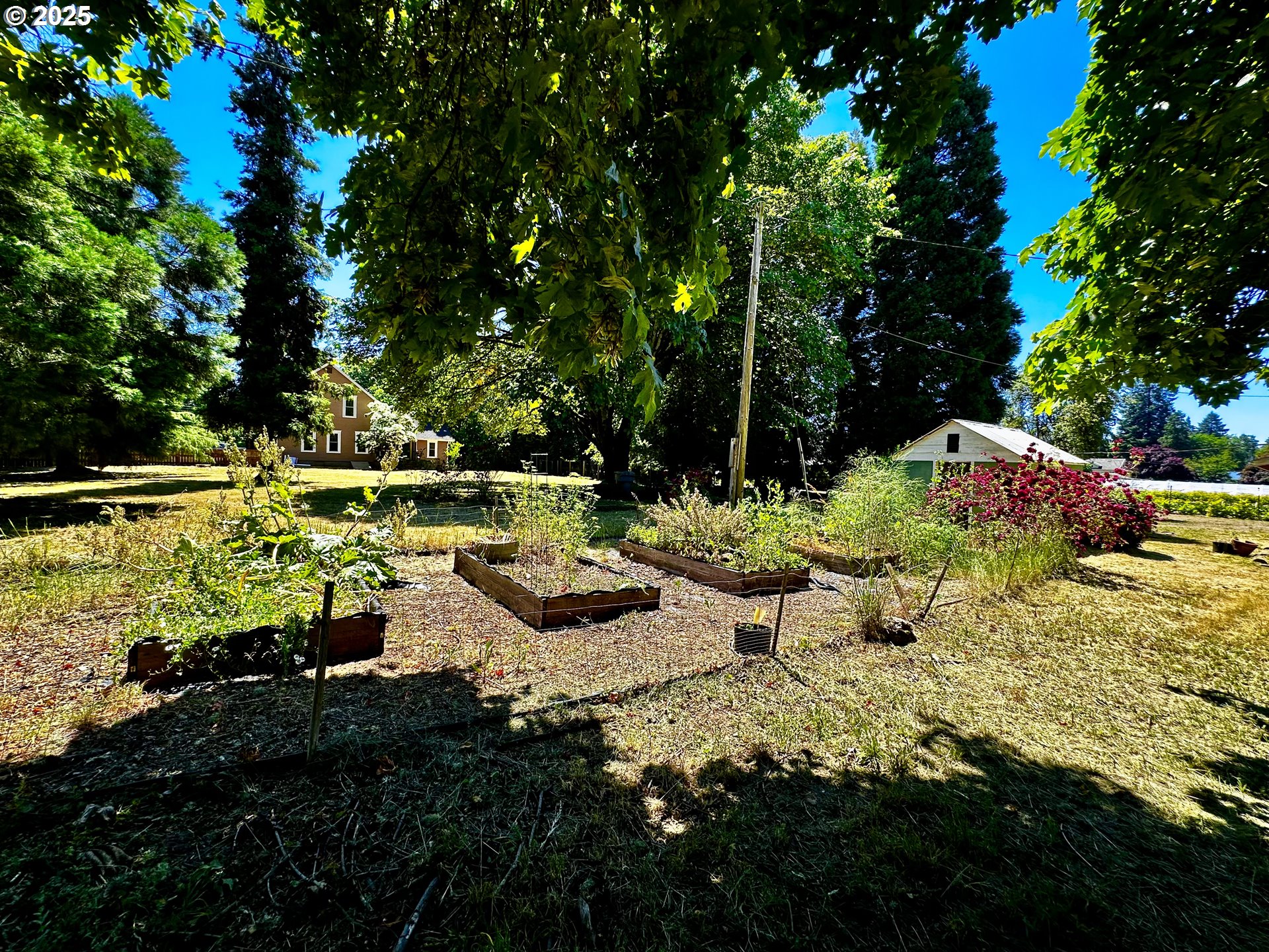 2453 Highway 20 Albany, OR 97321 - Photo 34 of 47 a view of yard with green space