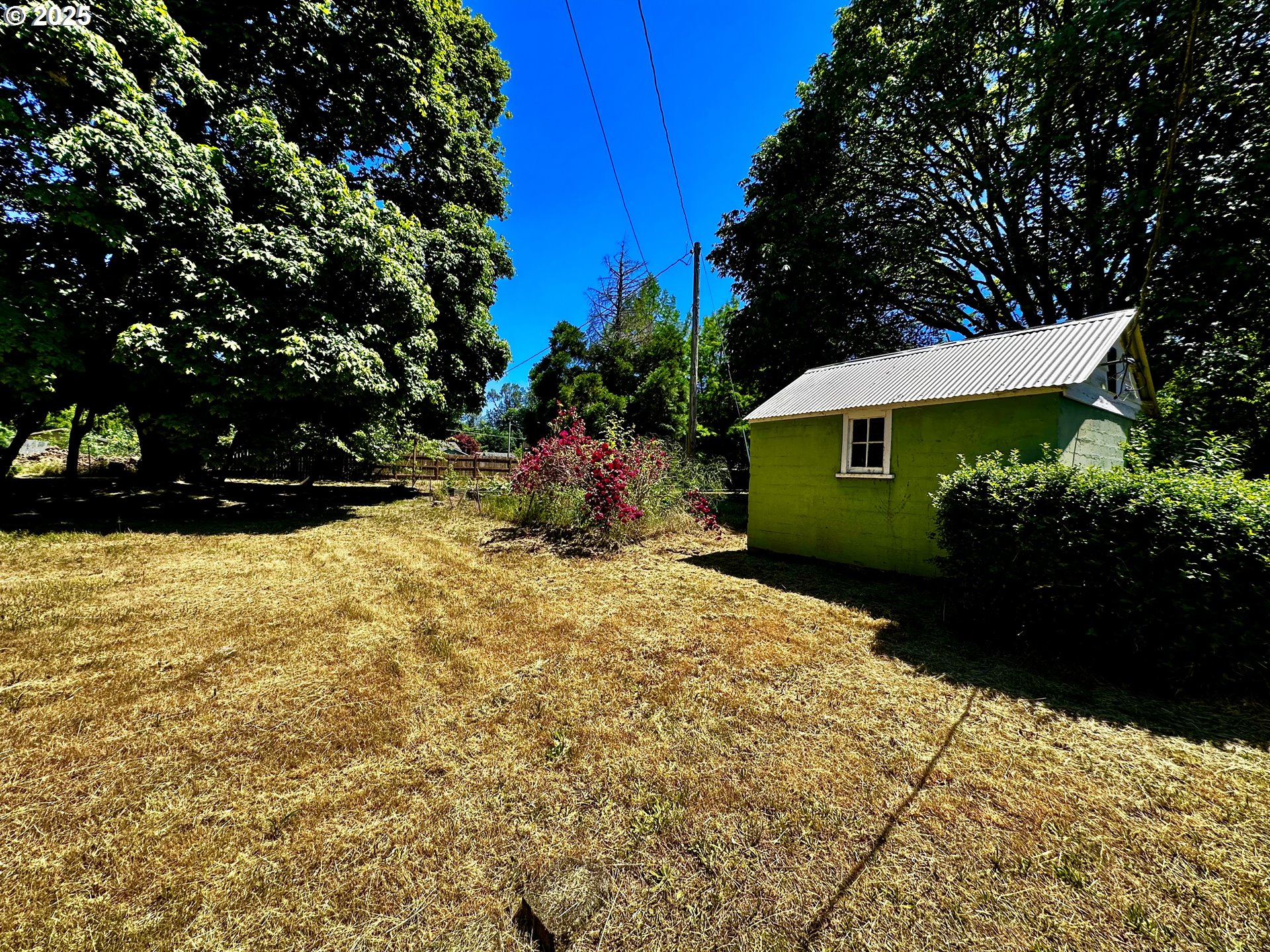 2453 Highway 20 Albany, OR 97321 - Photo 35 of 47 a view of a backyard